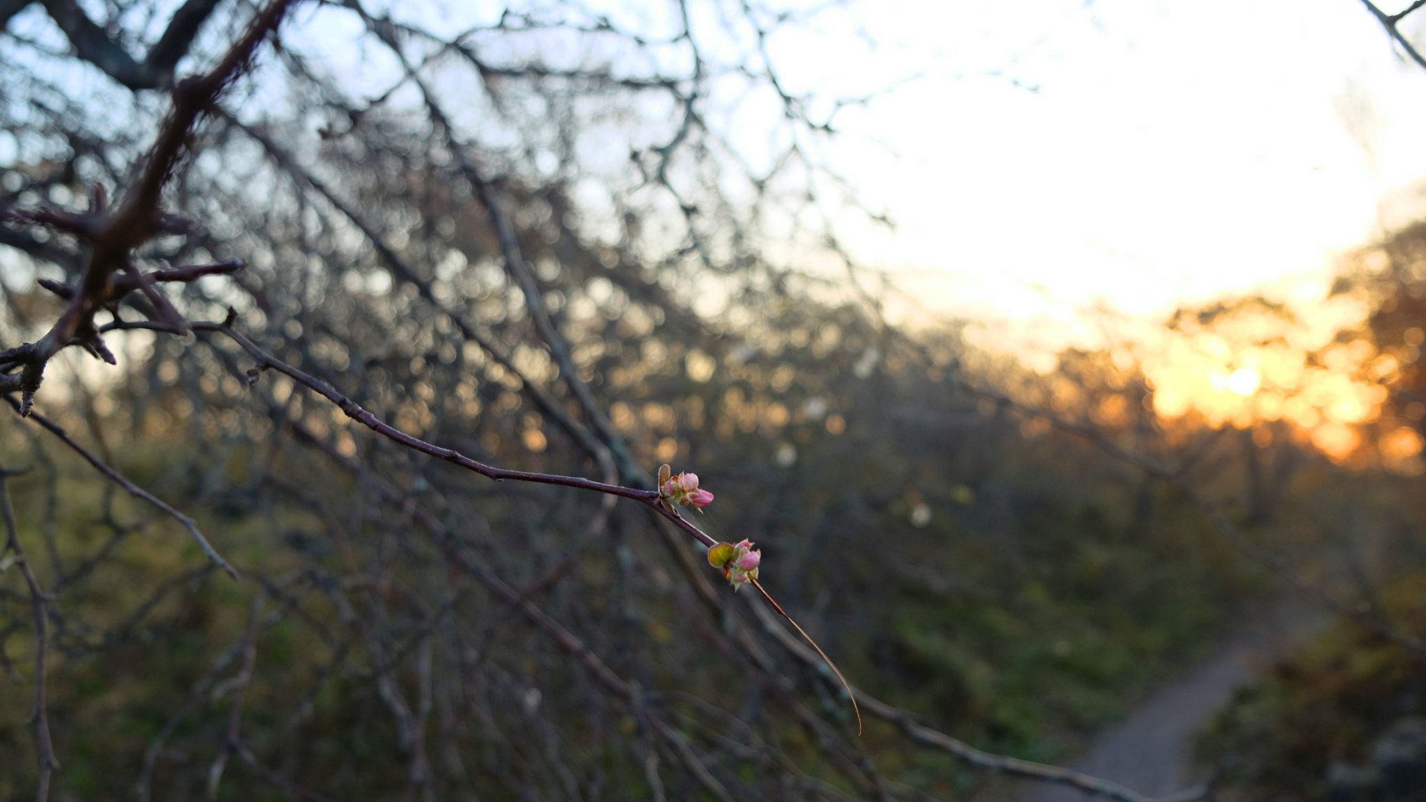 Страницы истории острова Русский (5/8)