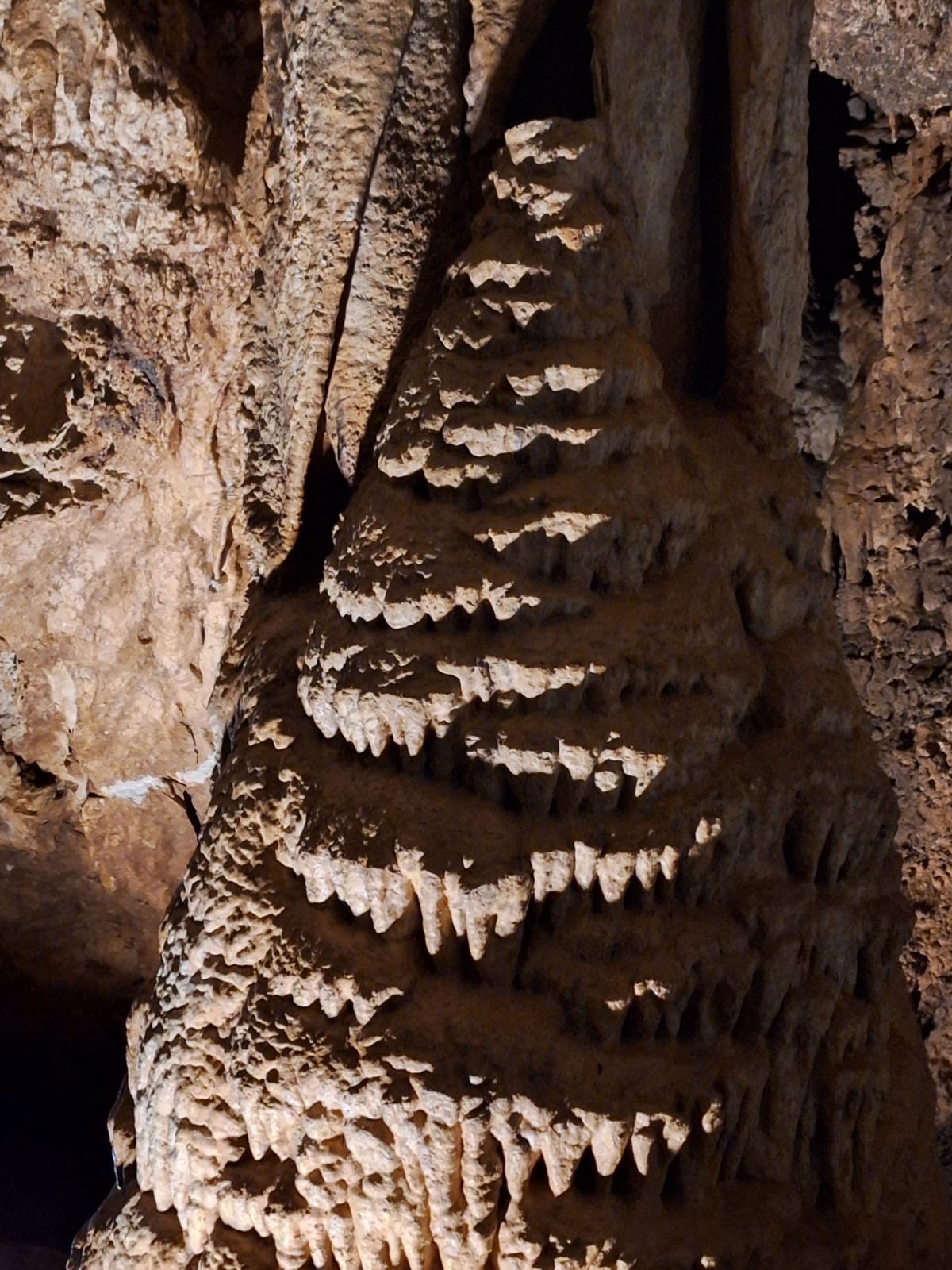 Сердце Черногории: озерная симфония (7/22)