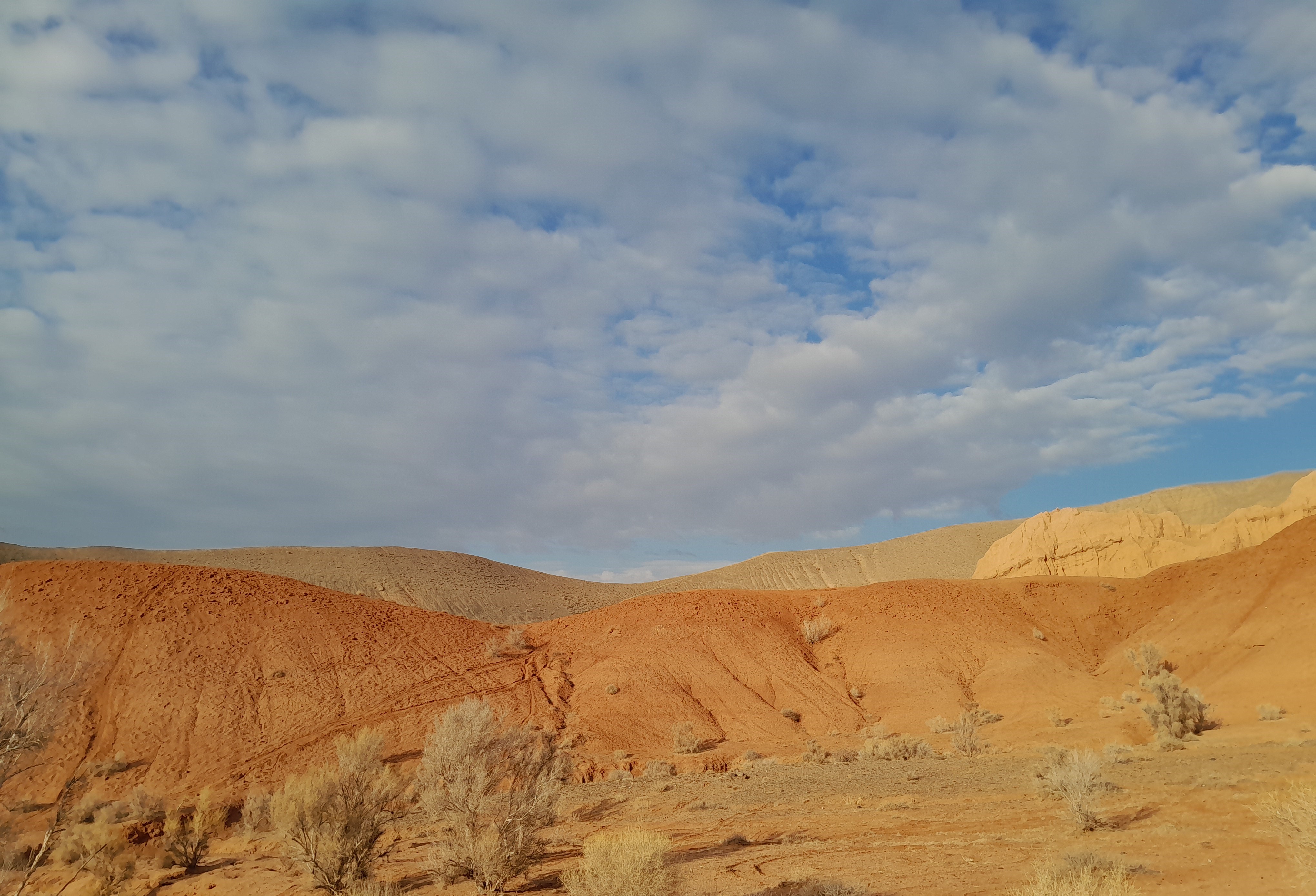 Тур: Красные горы Богутты — затерянный мир времени и красок (28/41)