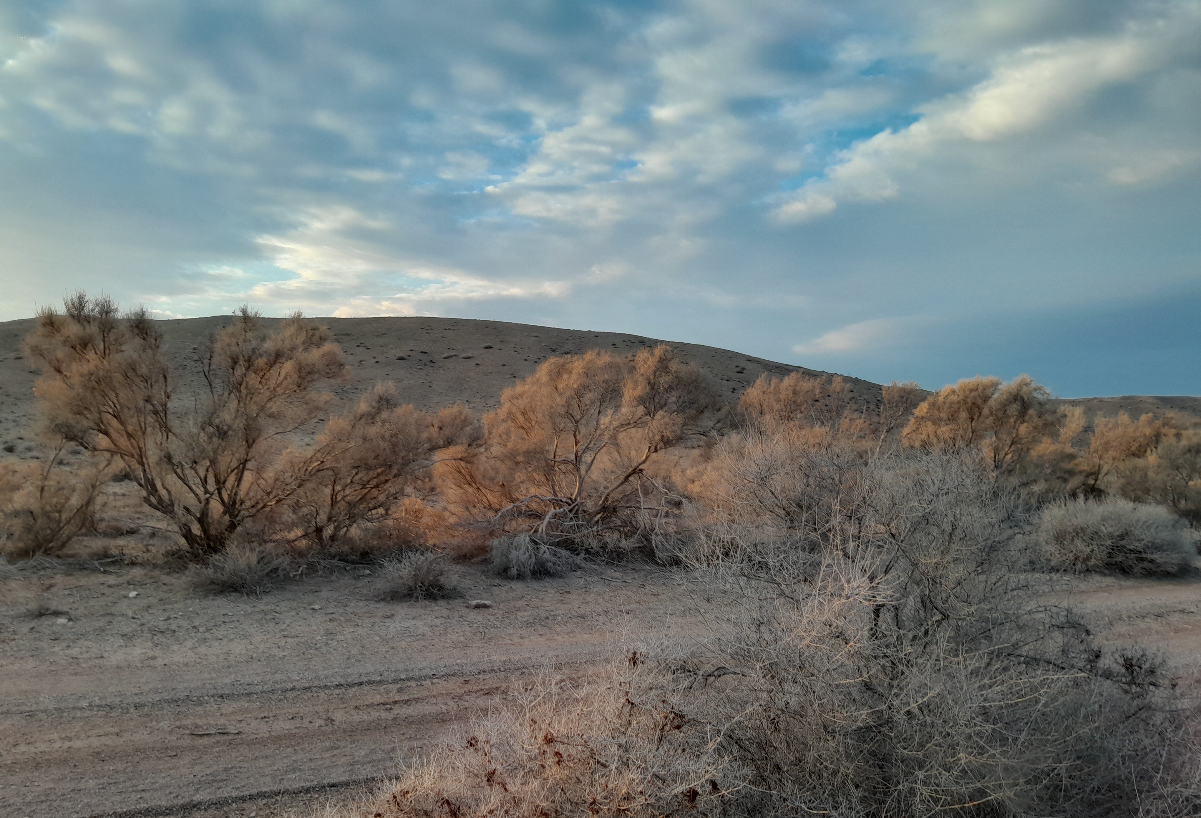 Тур: Красные горы Богутты — затерянный мир времени и красок (39/41)