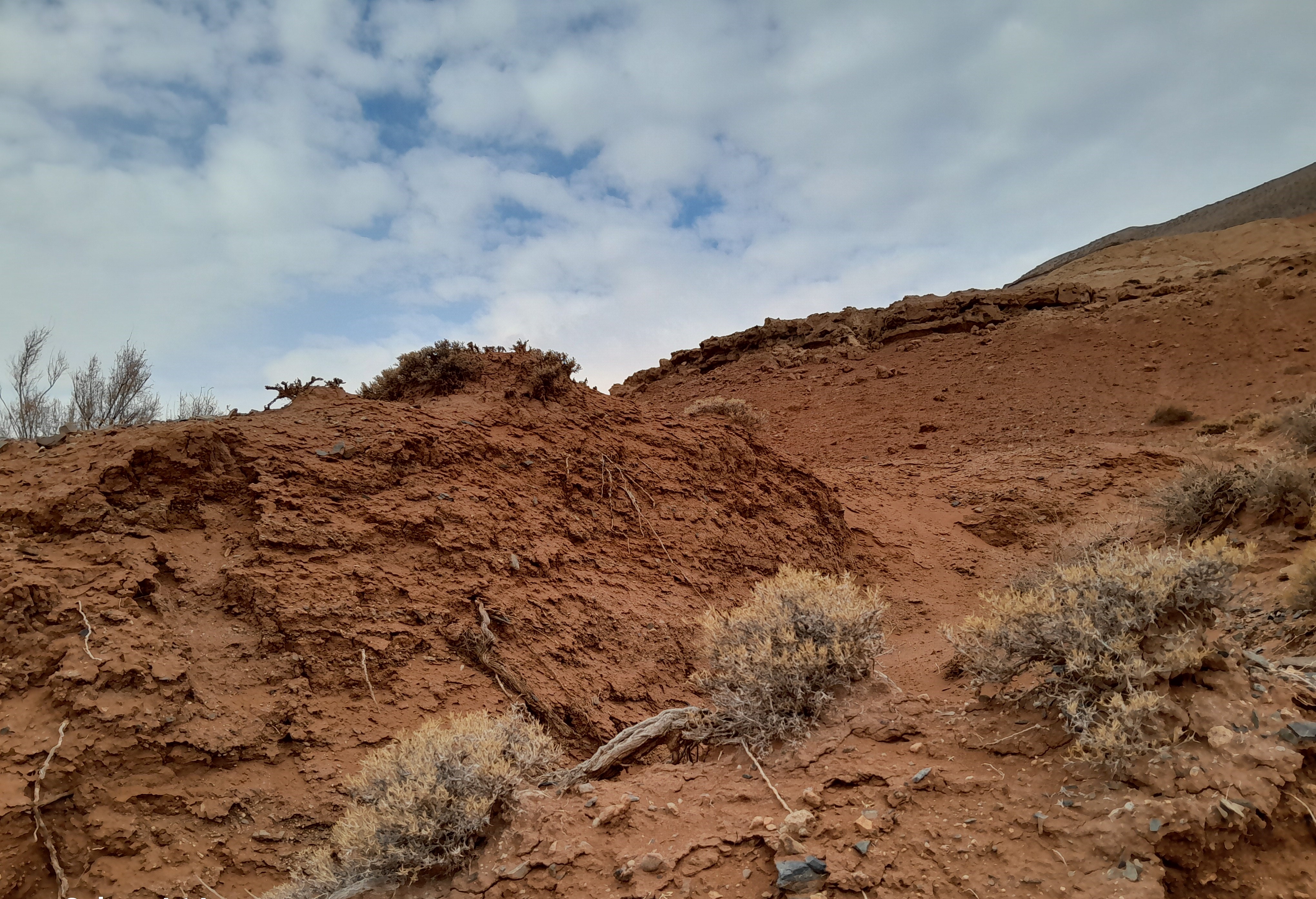 Тур: Красные горы Богутты — затерянный мир времени и красок (6/41)