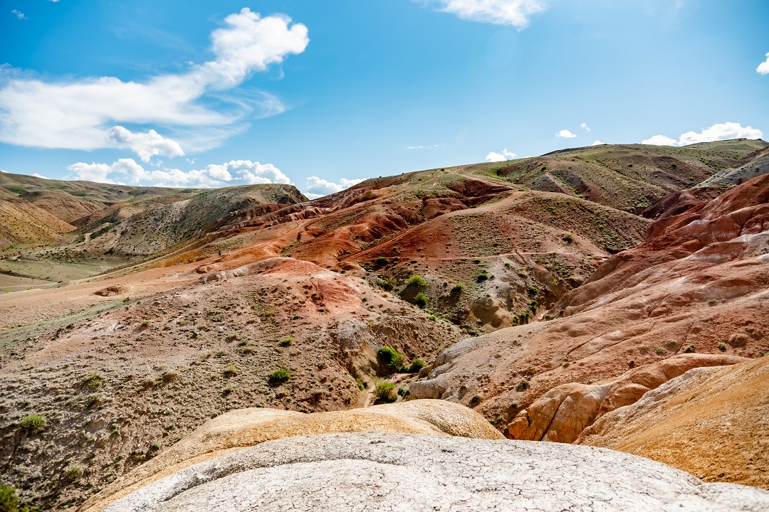 Свидание с Алтаем (15/19)