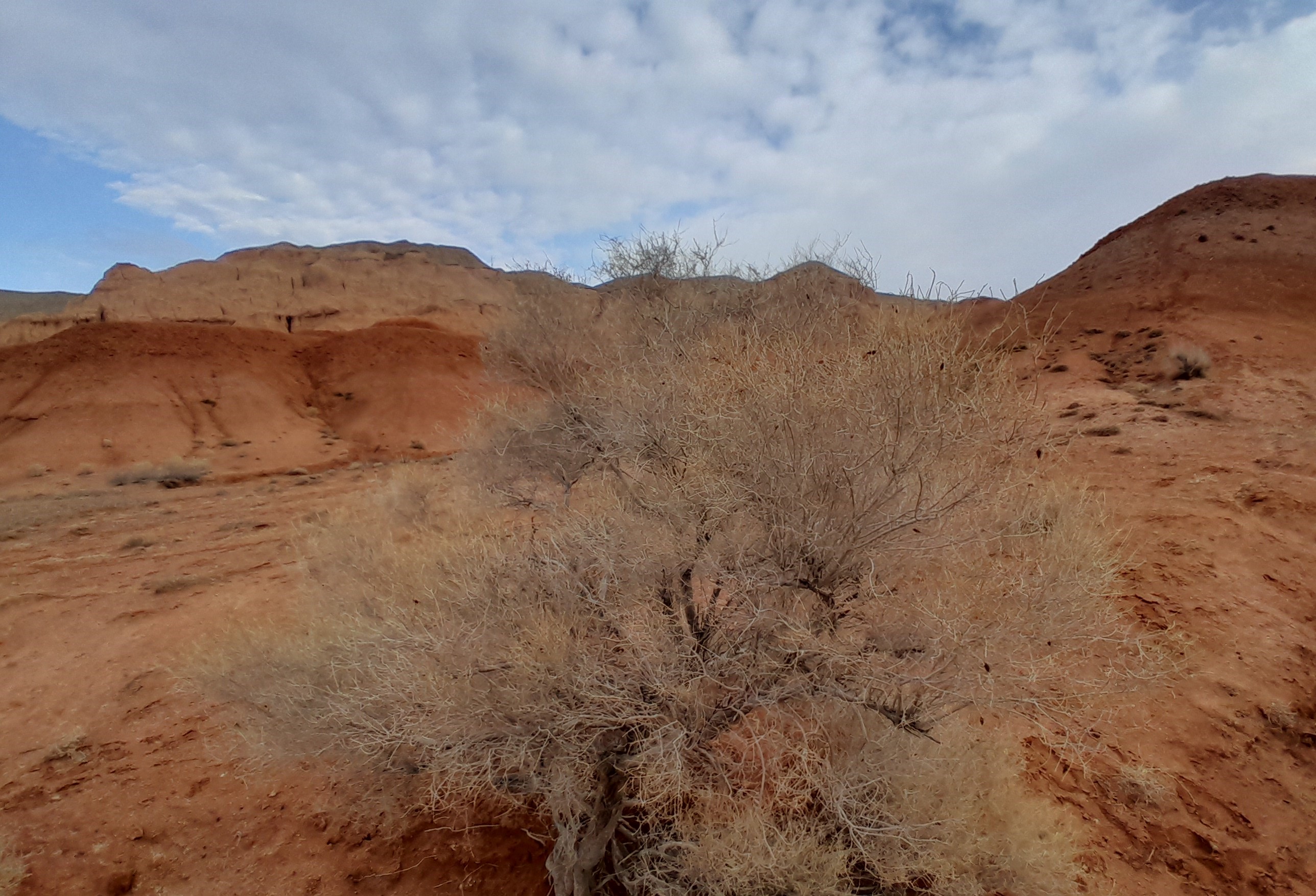 Тур: Красные горы Богутты — затерянный мир времени и красок (17/41)