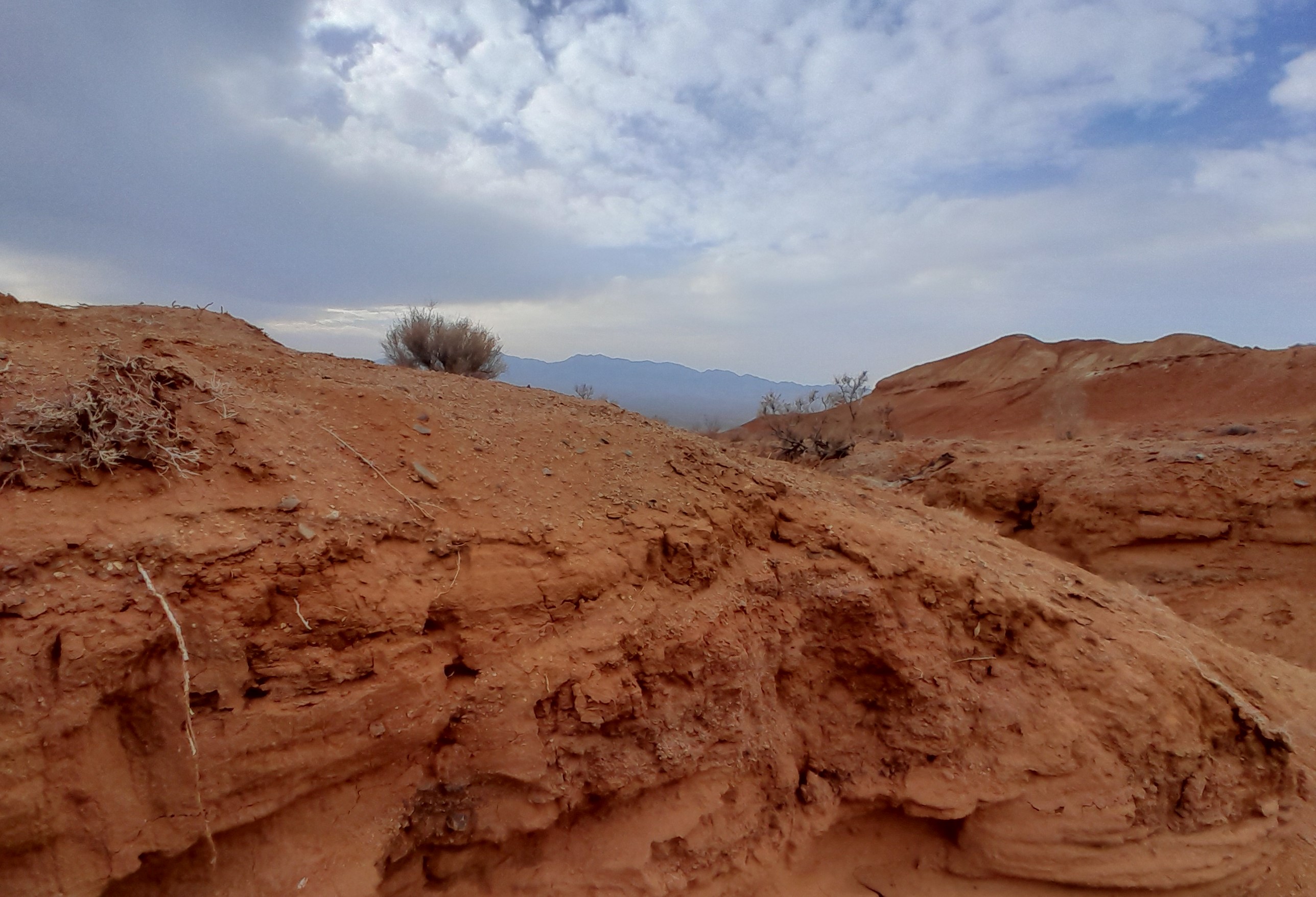 Тур: Красные горы Богутты — затерянный мир времени и красок (10/41)