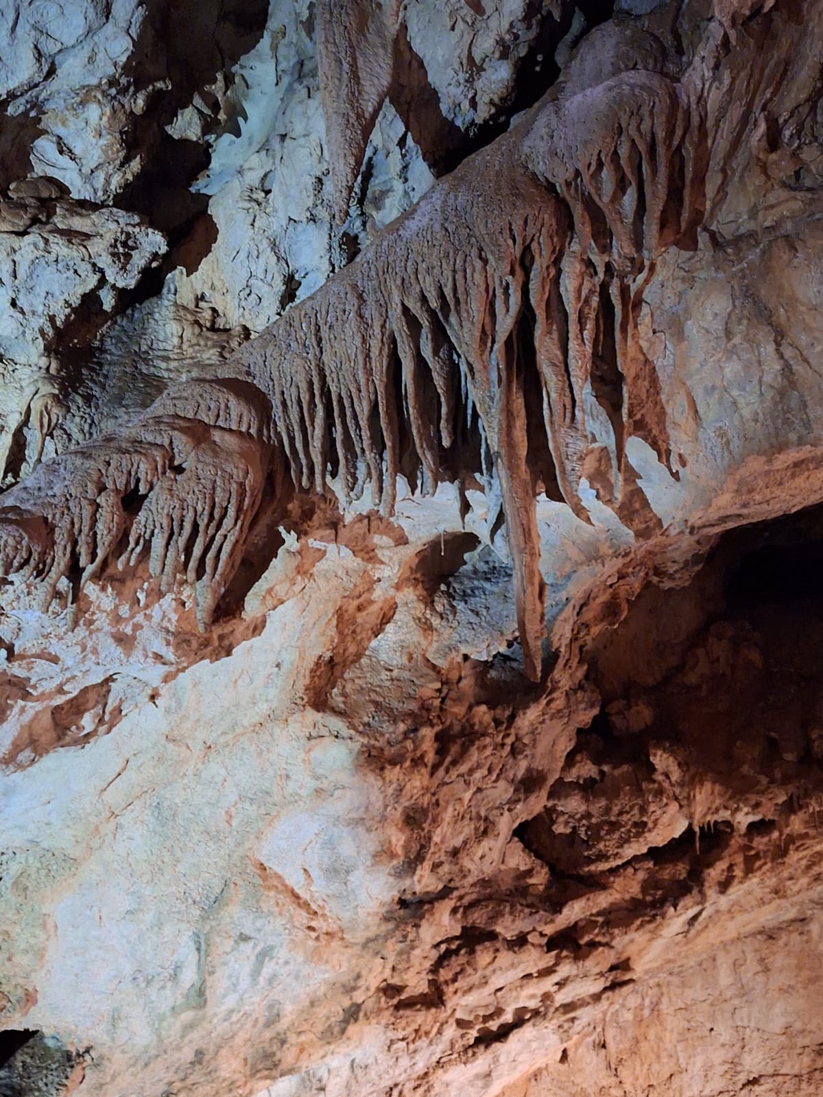 Сердце Черногории: озерная симфония (6/22)