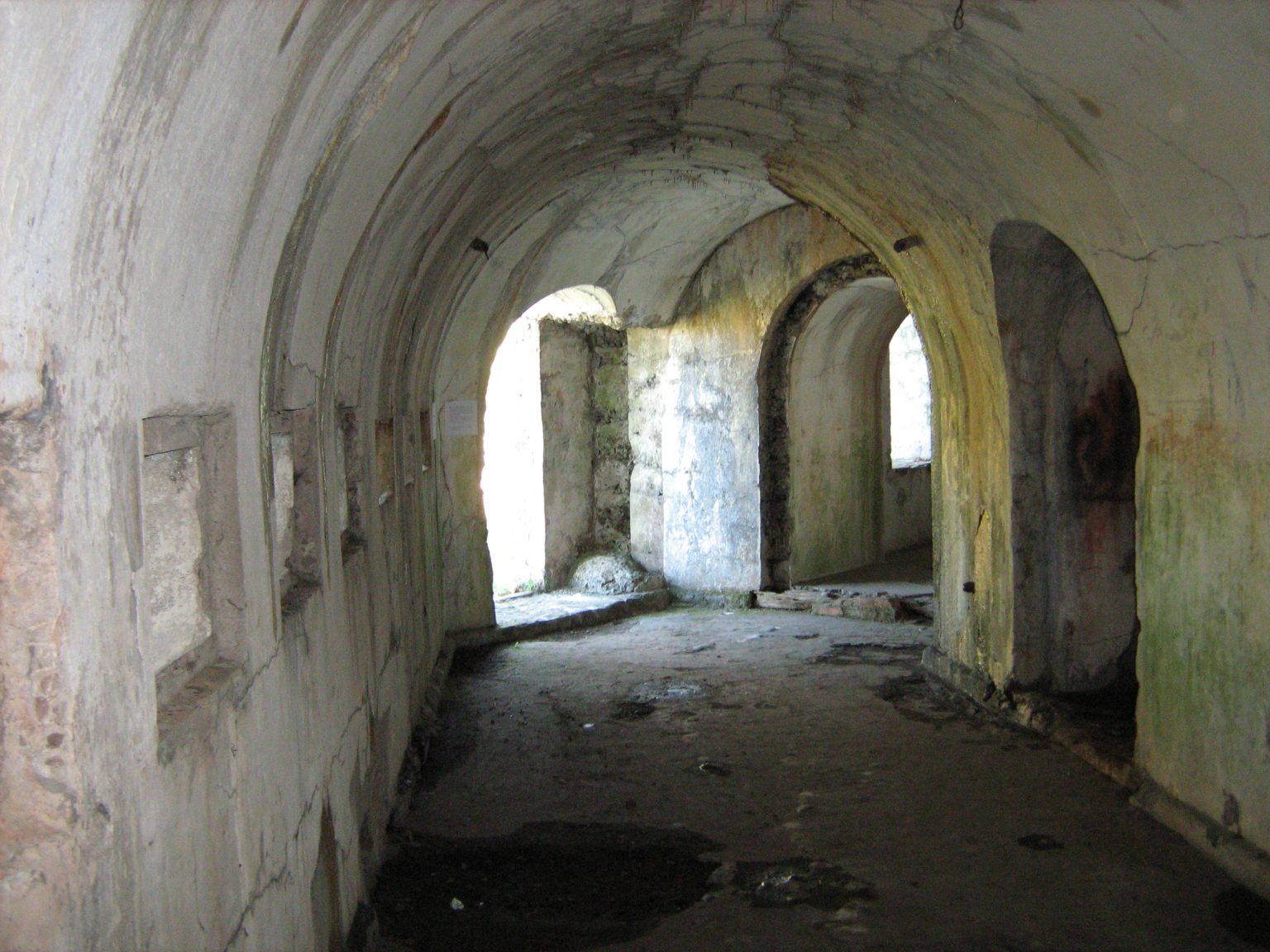 Страницы истории острова Русский (3/8)