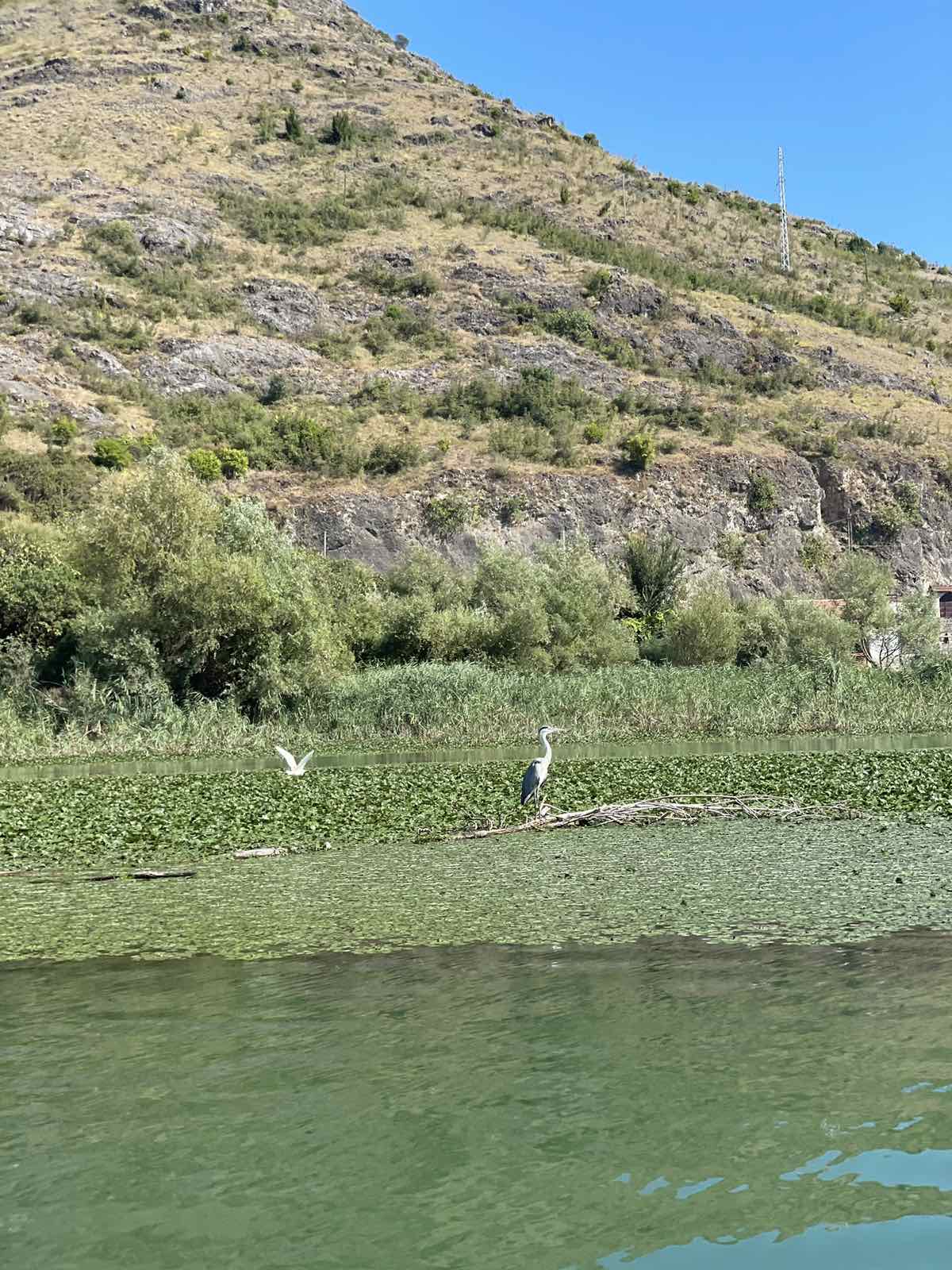 Сердце Черногории: озерная симфония (20/22)