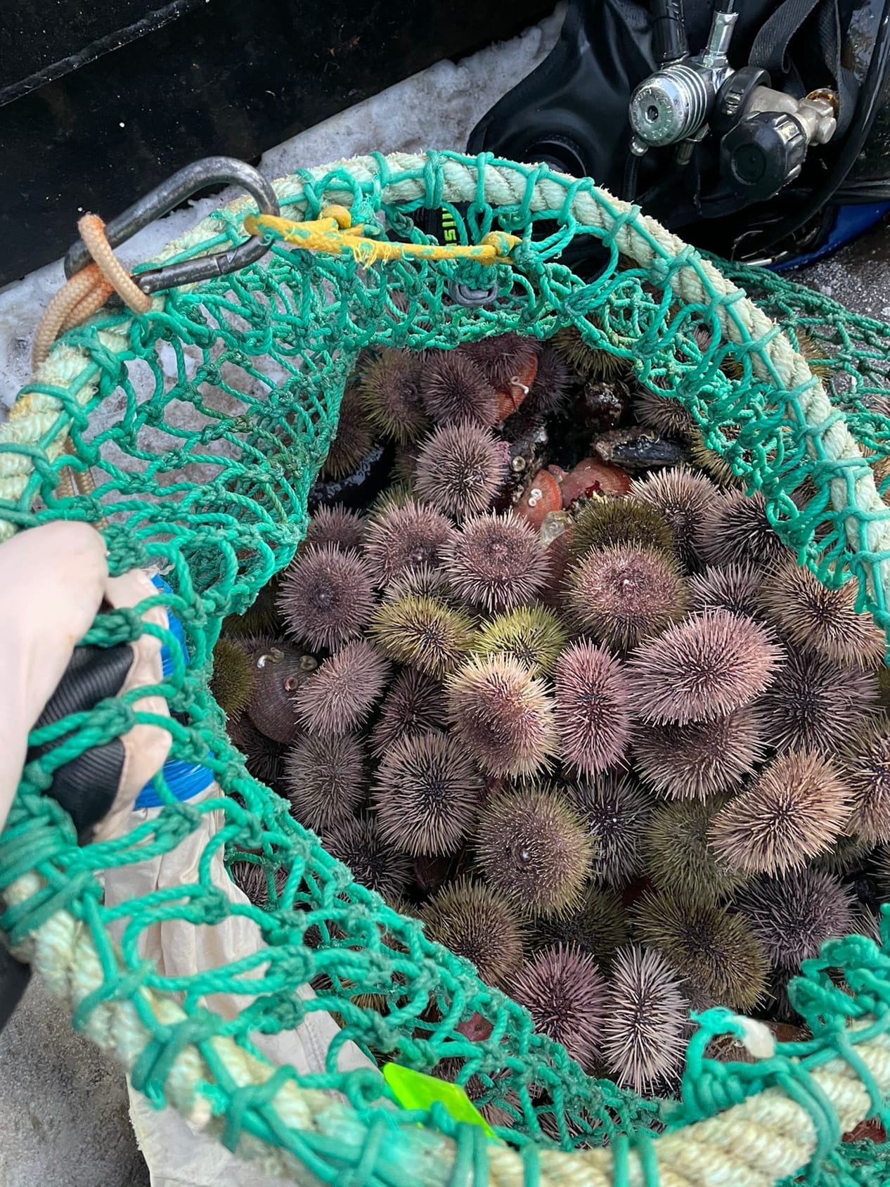 Териберка, Дальние Зеленцы и морское путешествие в поисках китов (9/22)