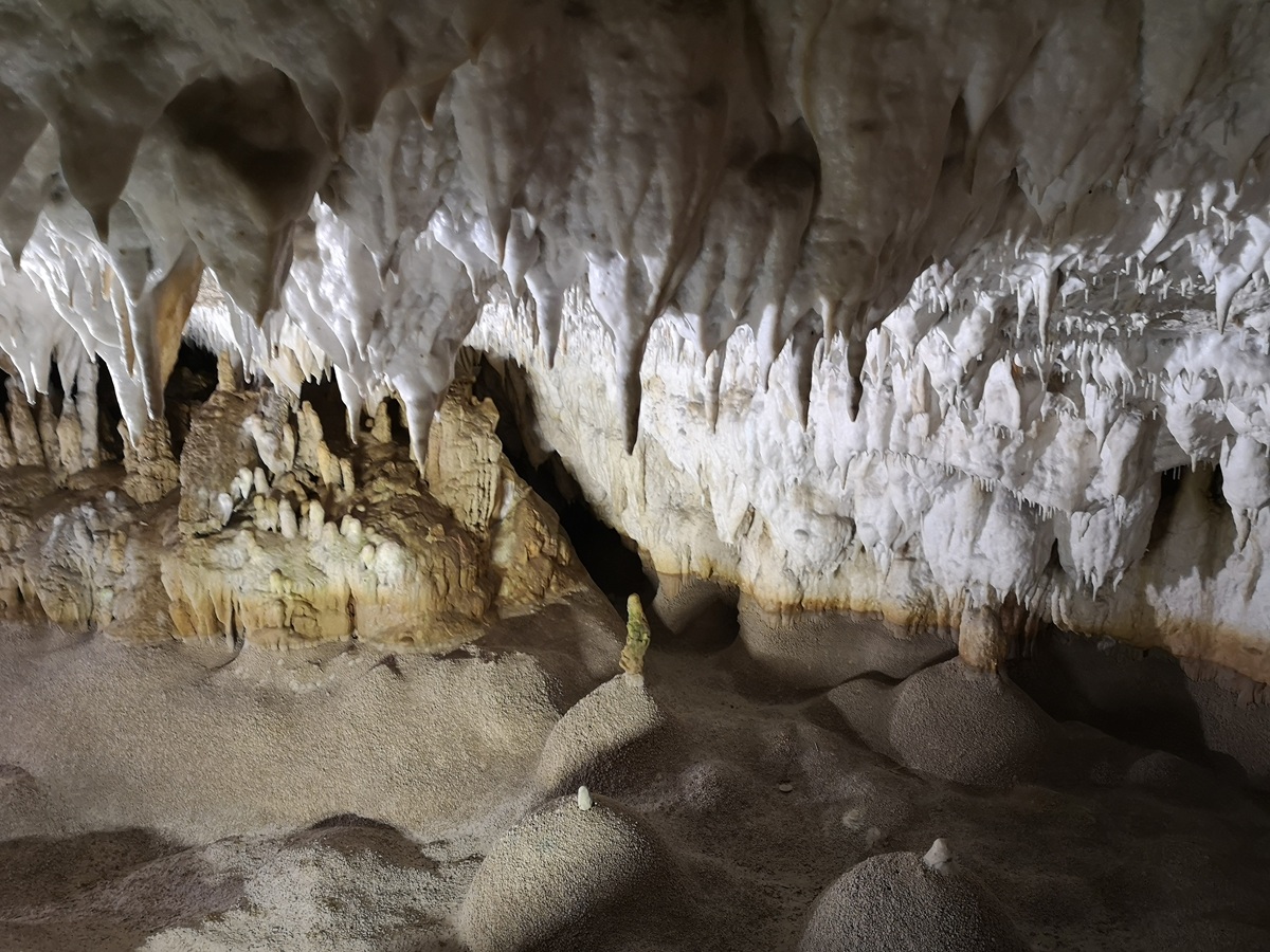 Активный тур по Сербии: треккинги, экскурсии и сапы (6/81)