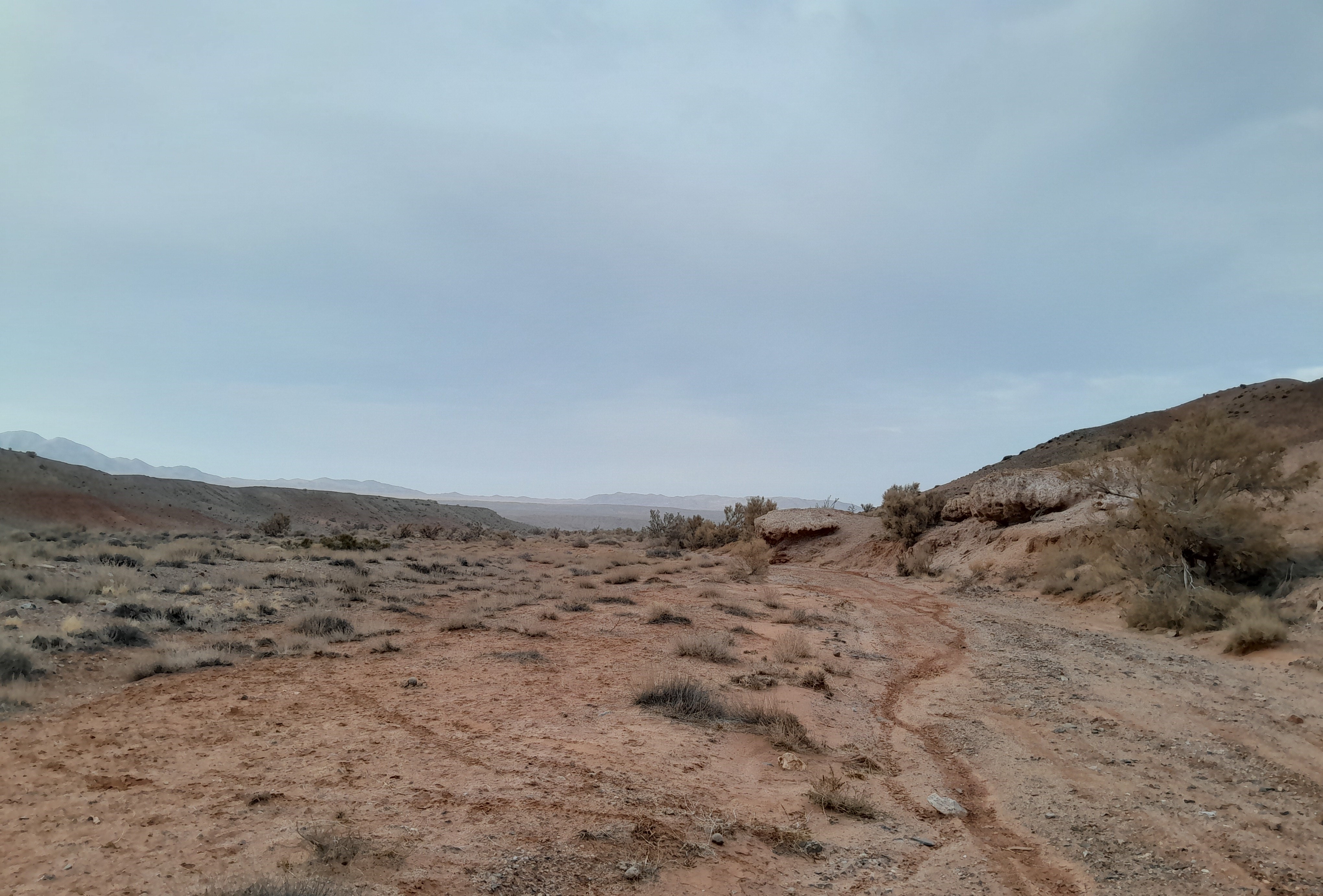 Тур: Красные горы Богутты — затерянный мир времени и красок (12/41)