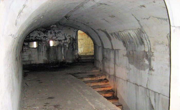 Страницы истории острова Русский (8/8)