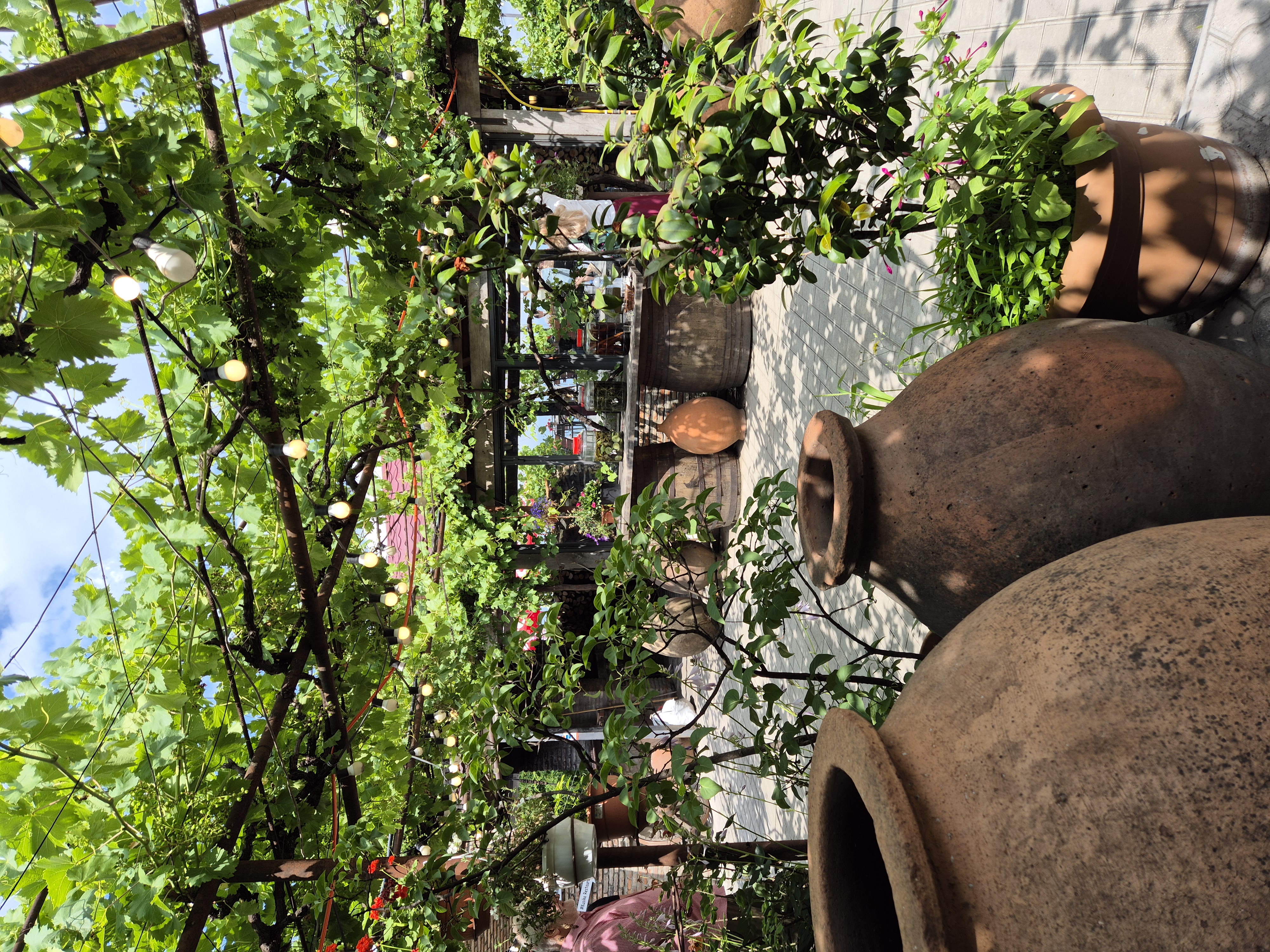 Грузинский уикенд! Тбилиси, Казбек, винная Кахетия и Мцхета! (25/33)