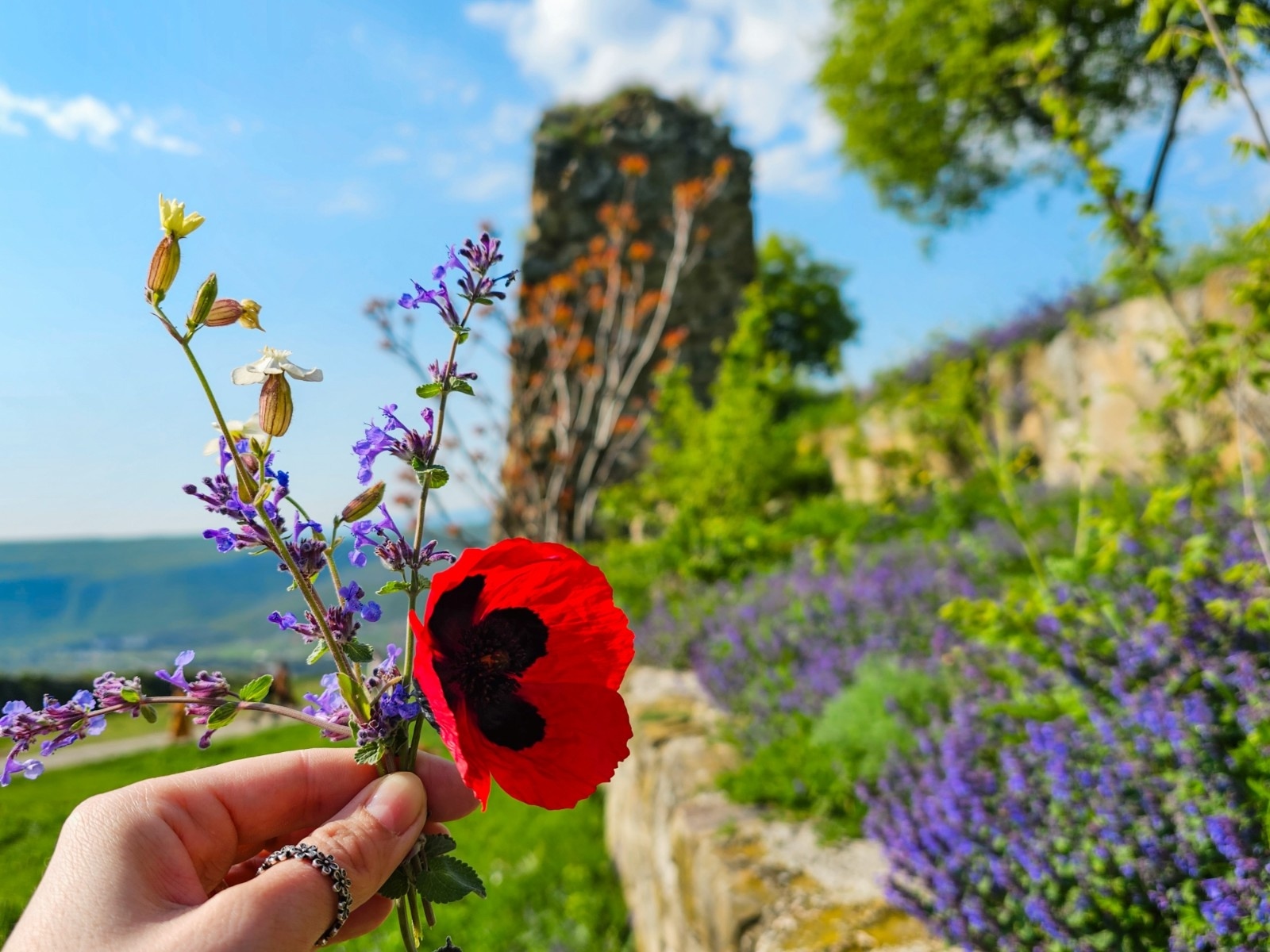Мцхета, Джвари и винная Кахетия