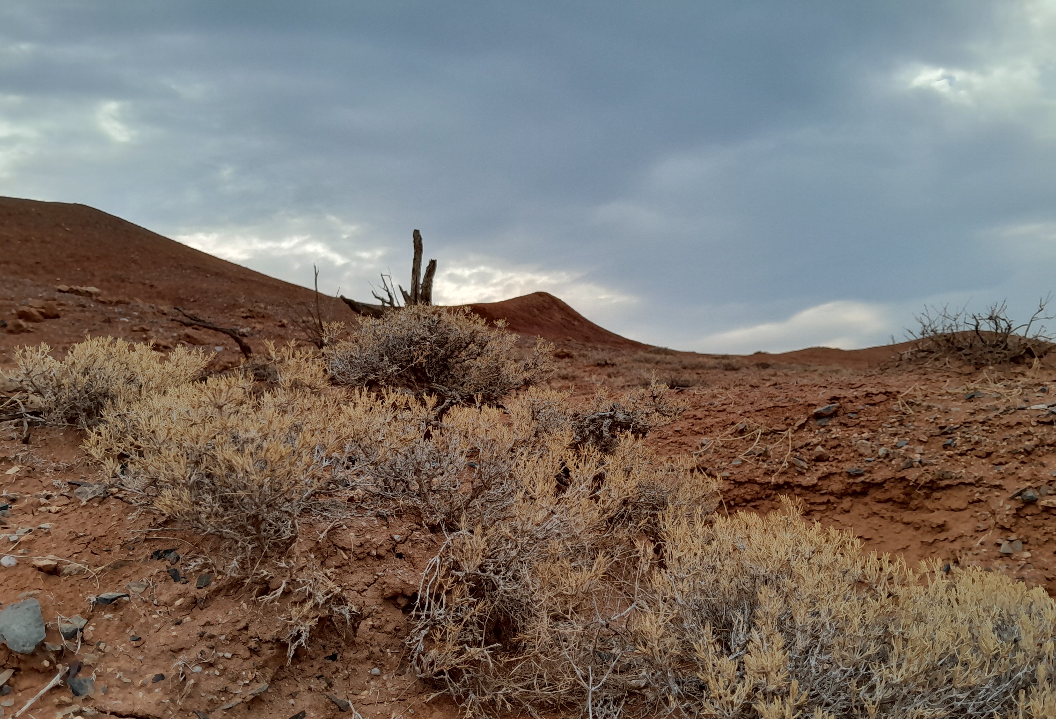Тур: Красные горы Богутты — затерянный мир времени и красок (5/41)