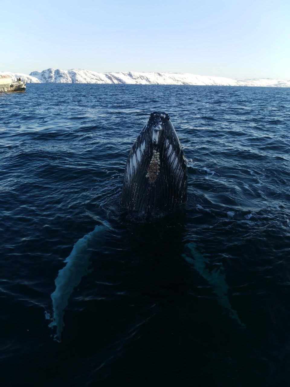 Териберка: край Земли у океана (6/16)