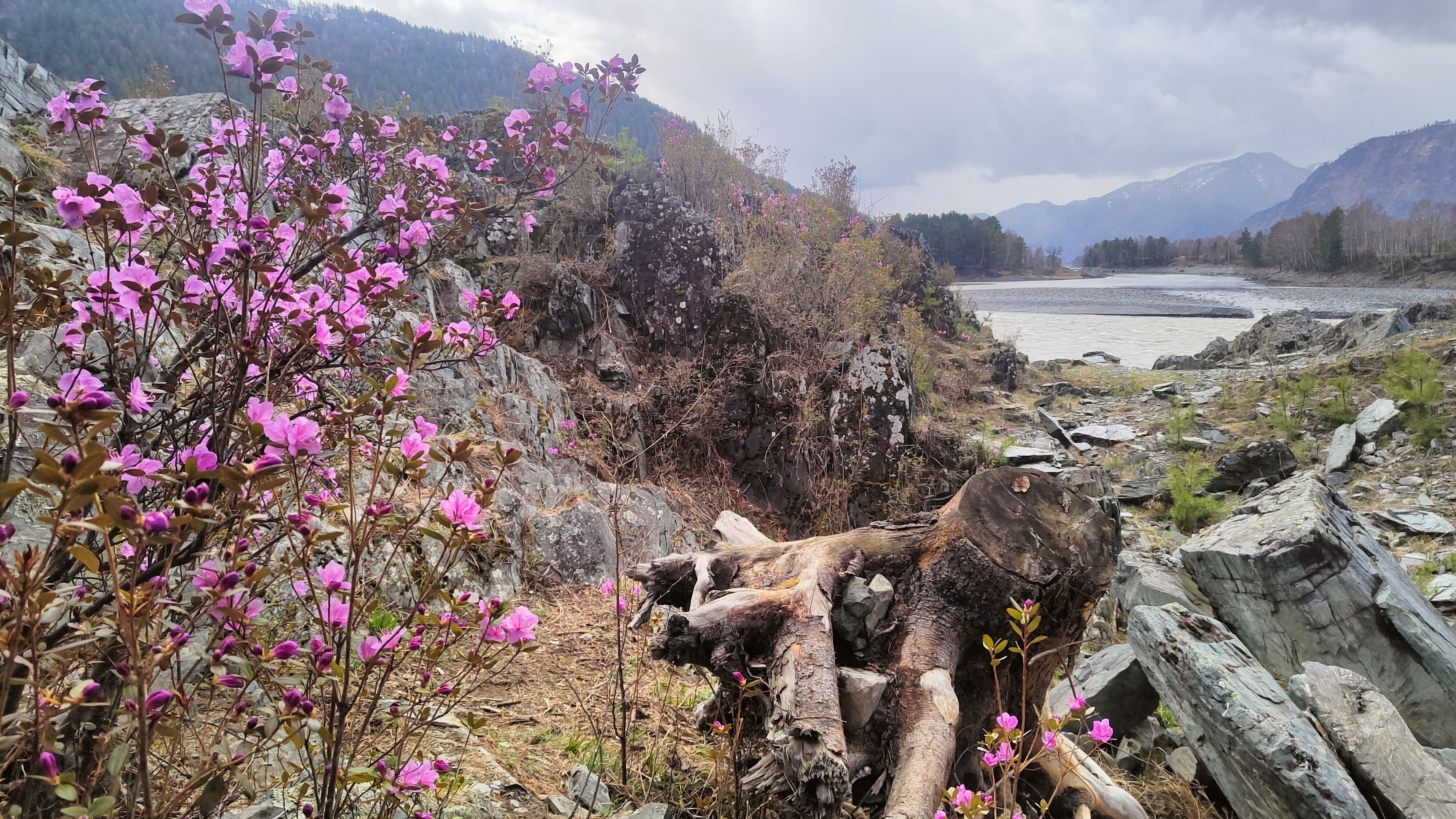 Ещё денёк в горах Алтая