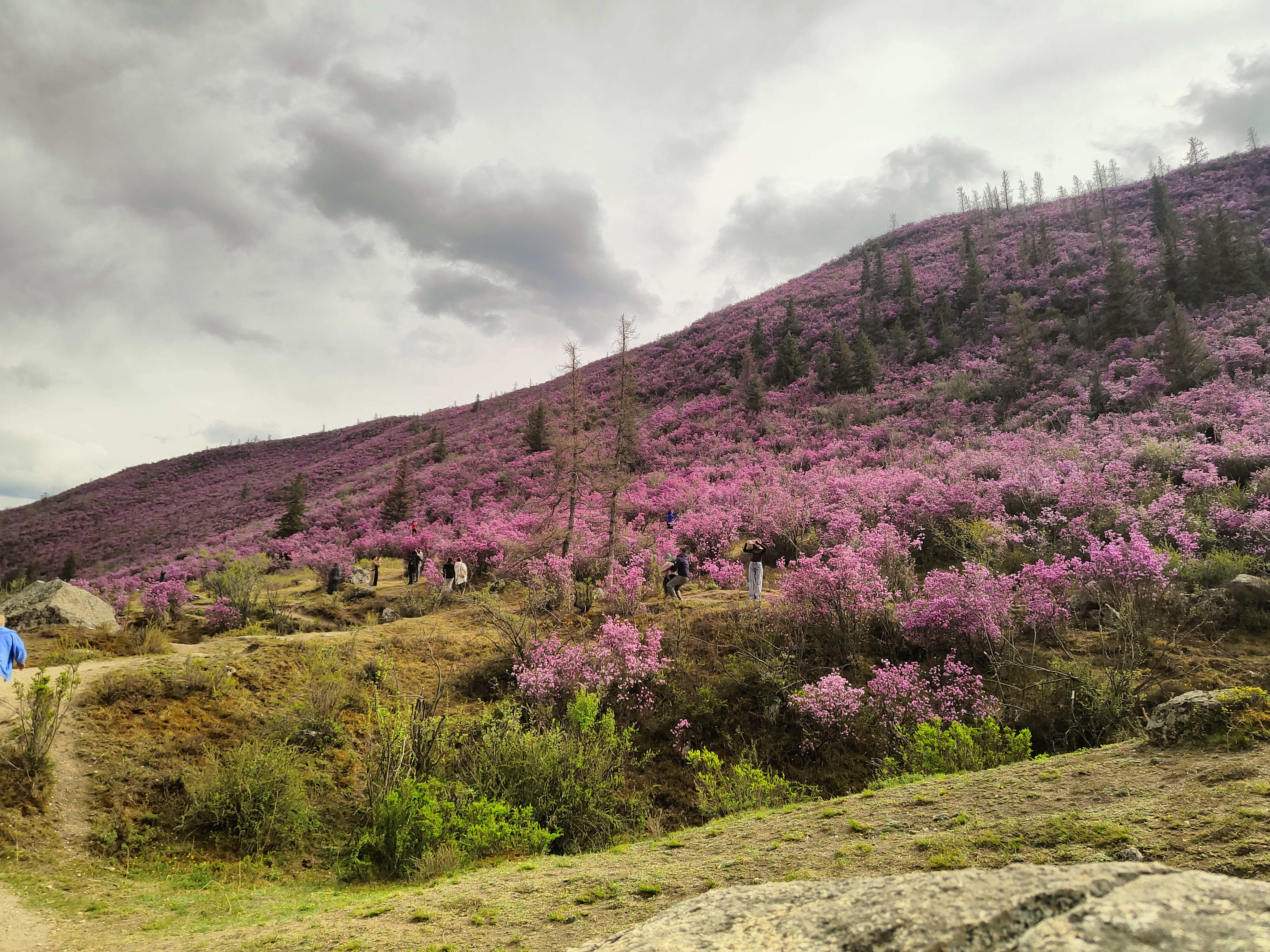 Весенние горы