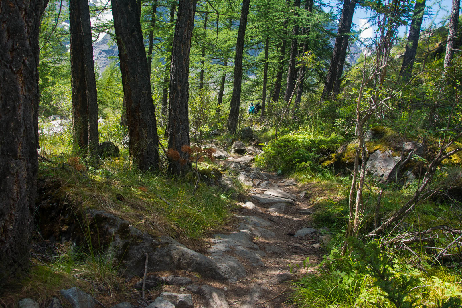 Пешком по горам Алтая (16/40)