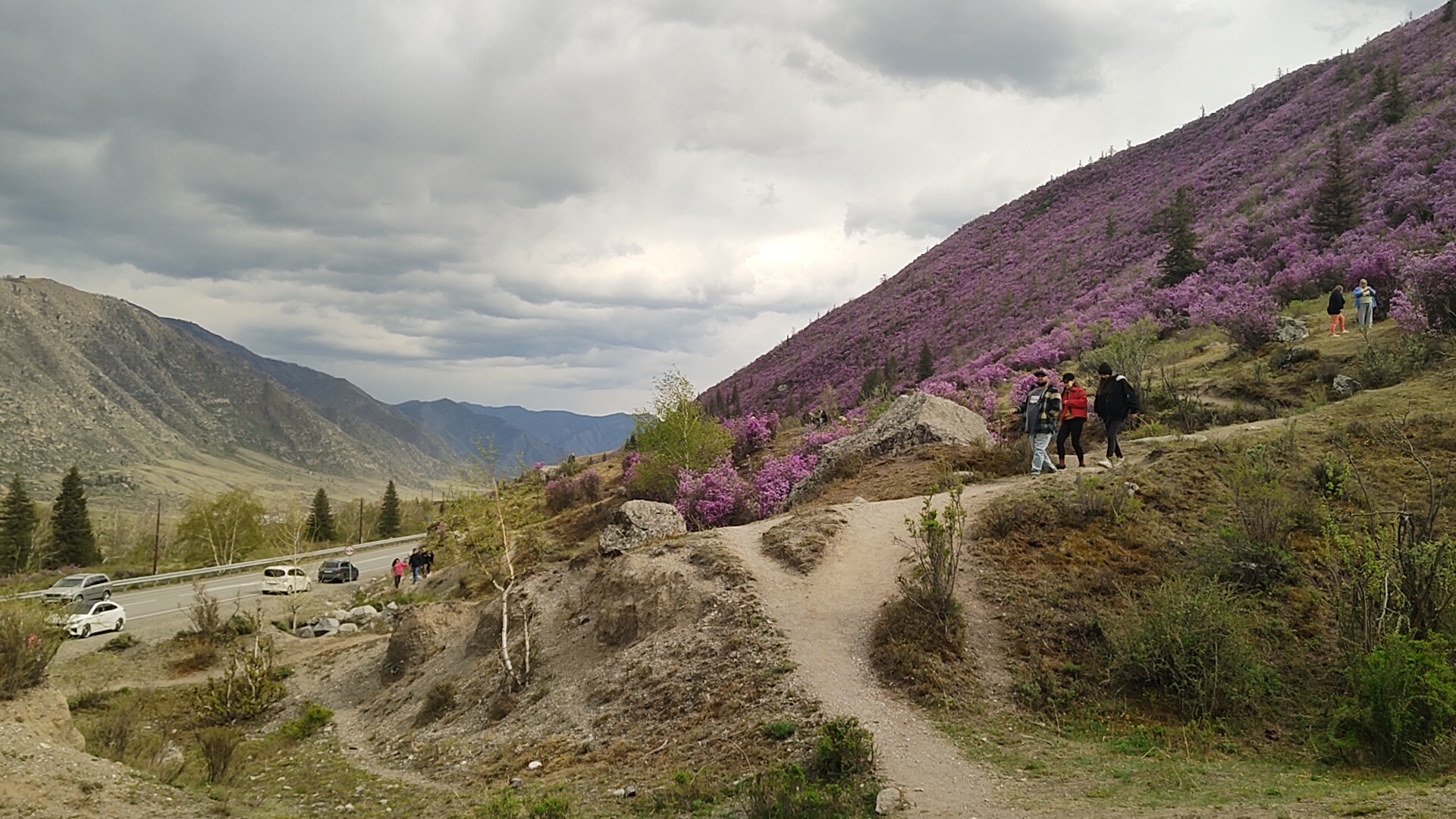 Сиреневые горы