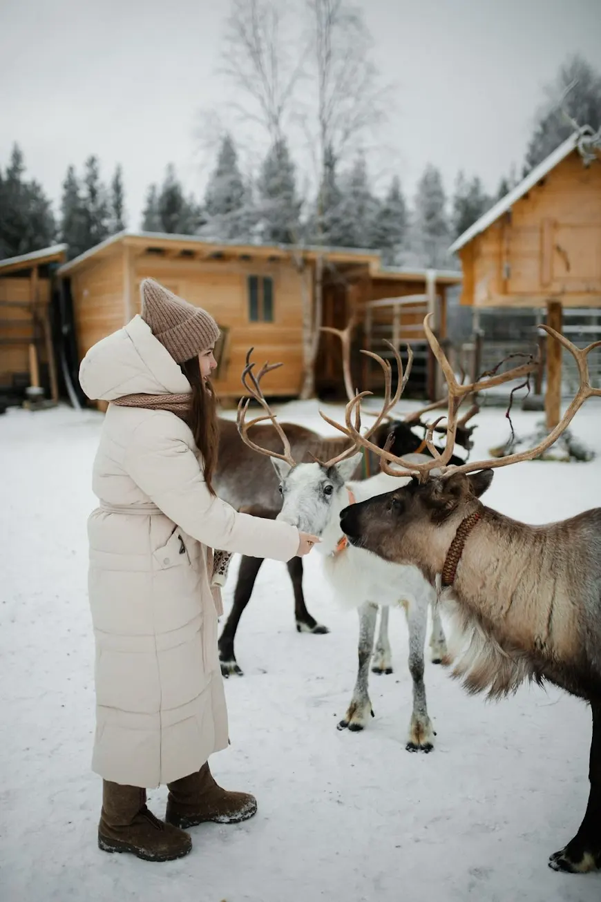 Индивидуальный Семейный тур Юный полярник (все включено) (13/28)