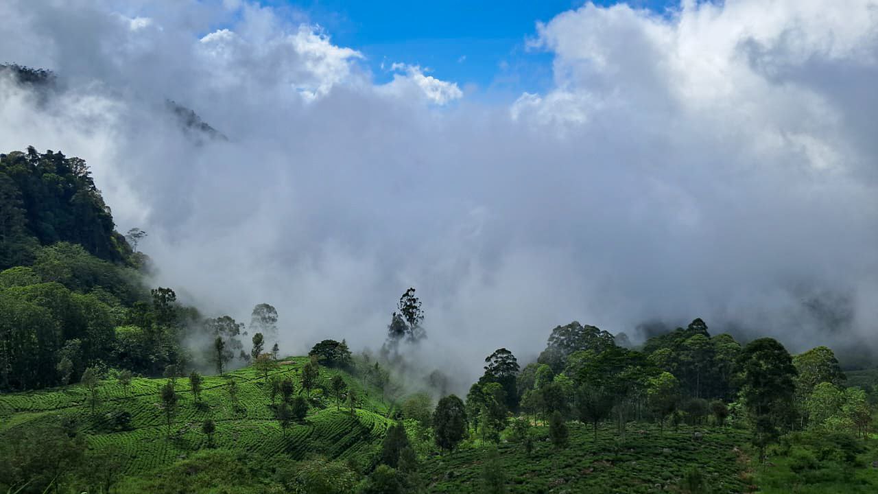 Тайны и тропики Шри-Ланки: уникальная авторская экспедиция (5/48)