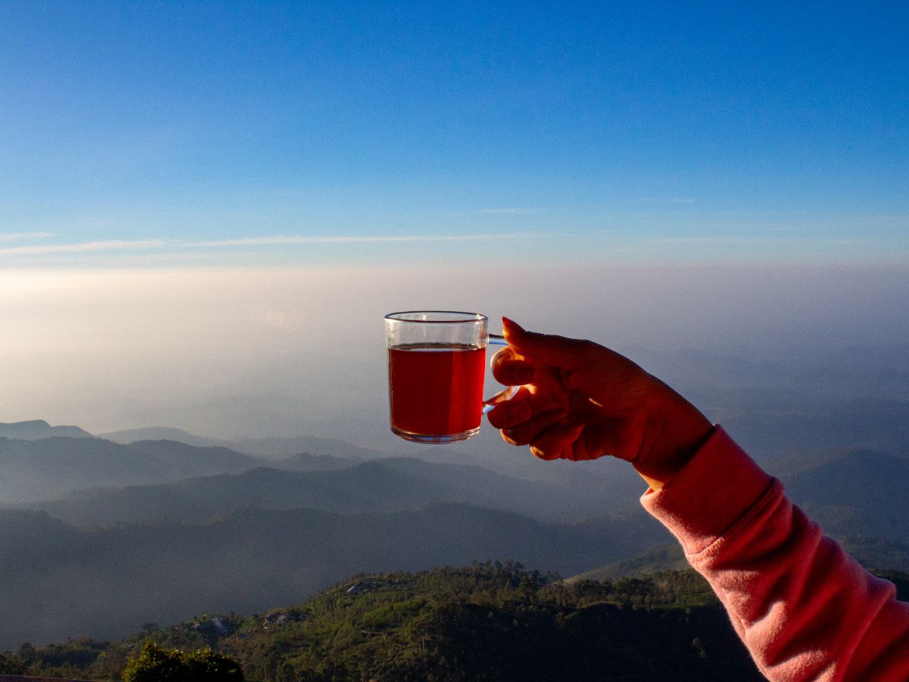 Тайны и тропики Шри-Ланки: уникальная авторская экспедиция (8/48)