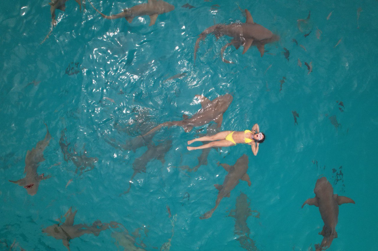 Мальдивы морской-сафари тур