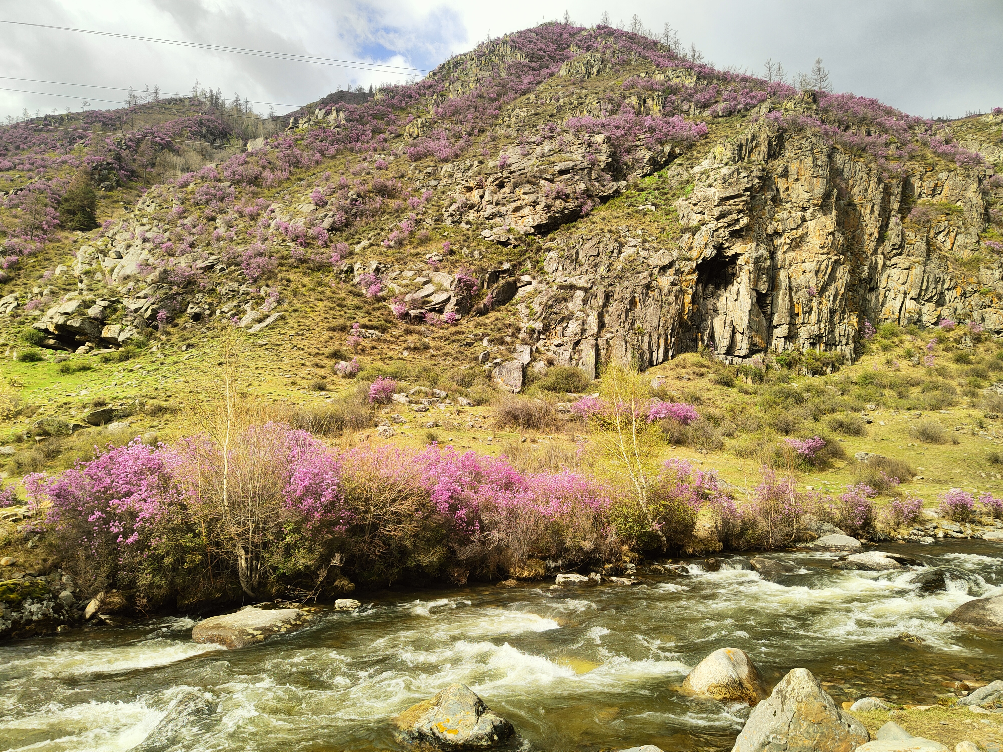 Продолжаем наслаждаться красотой