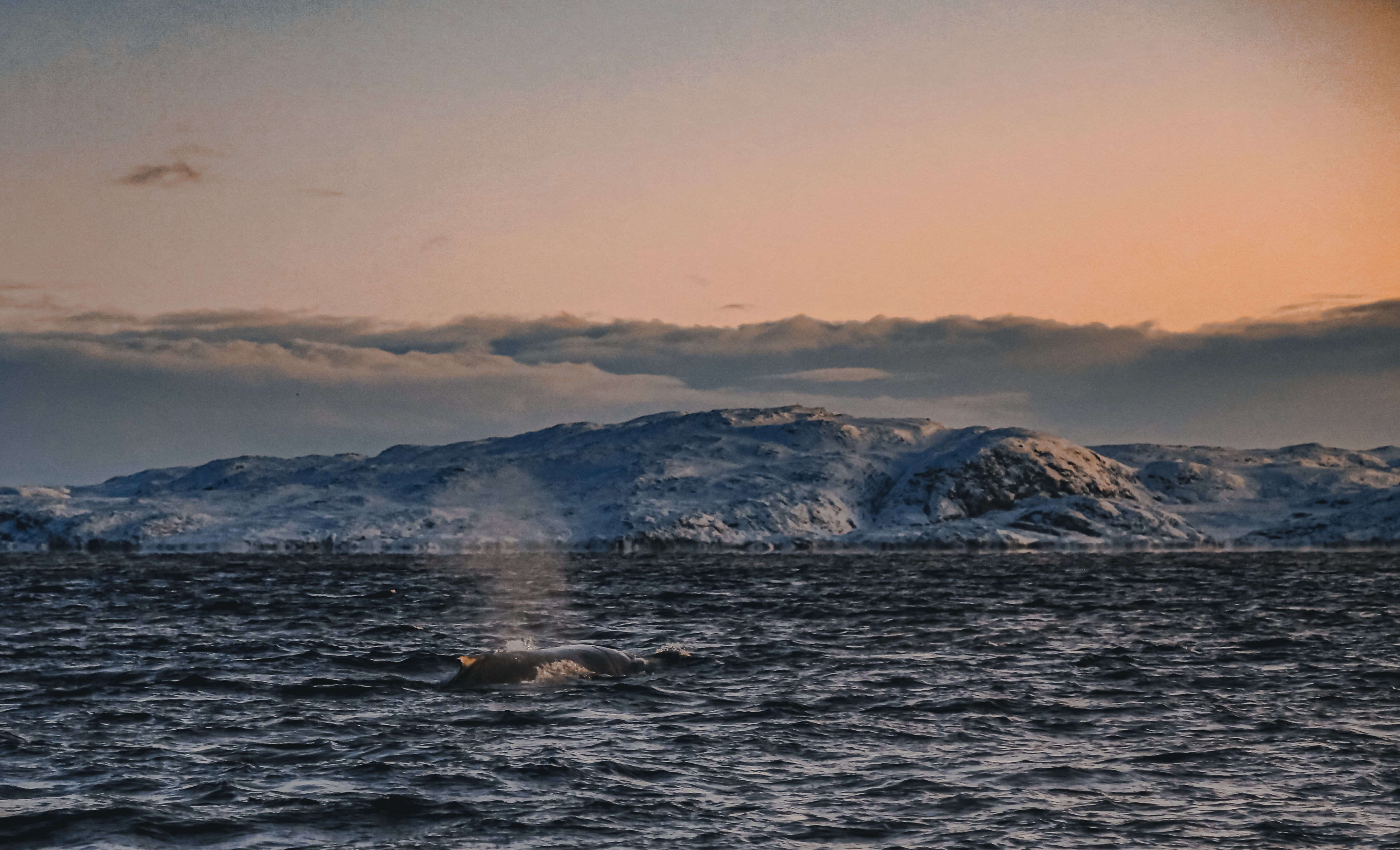 Териберка: край Земли у океана (13/16)