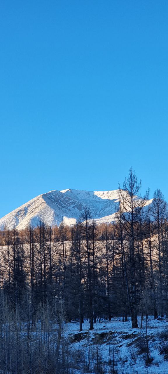 С Иваном по Саянам (2/32)