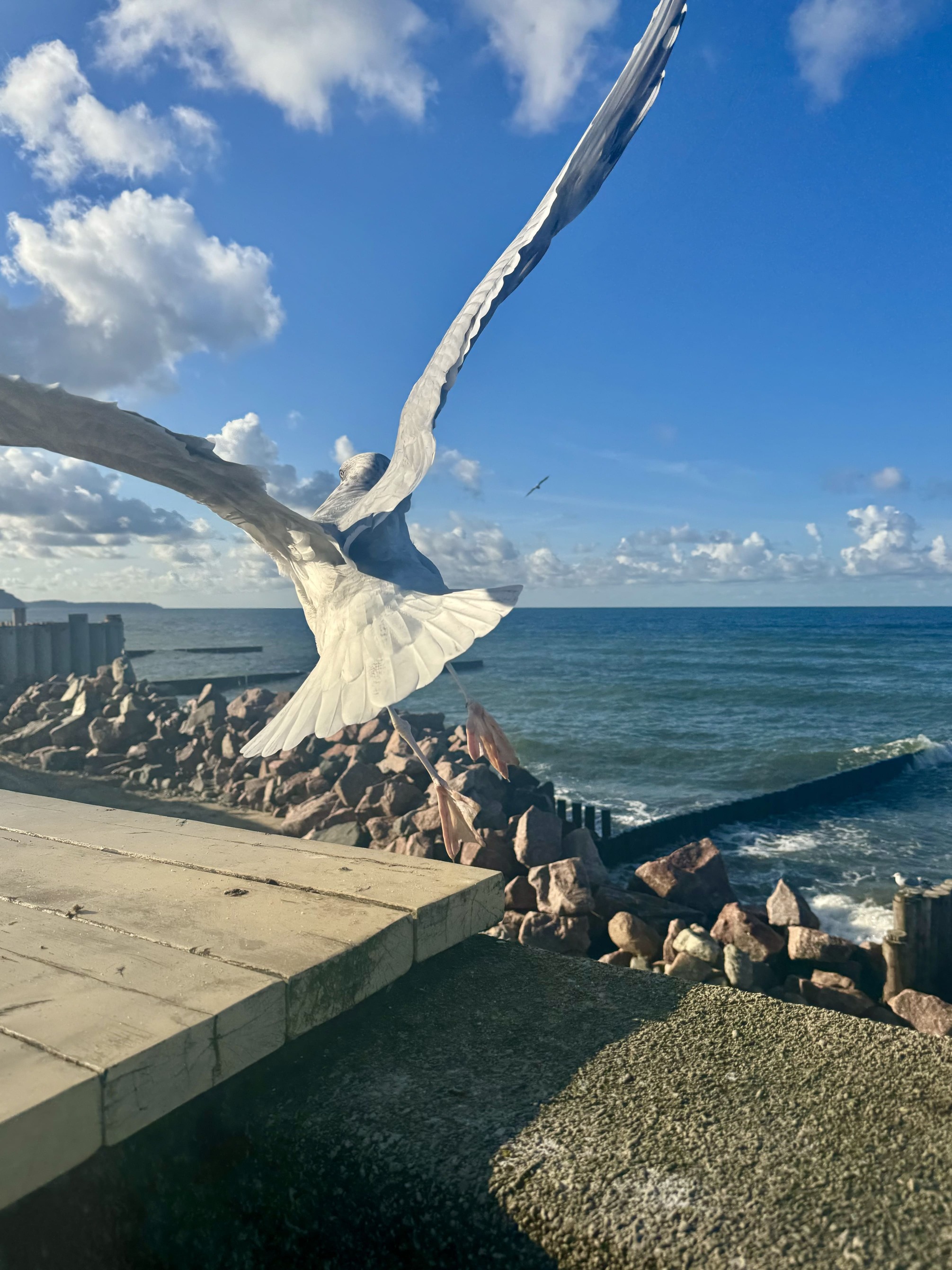 Куршская коса и Королевский курорт Кранц, 8 часов