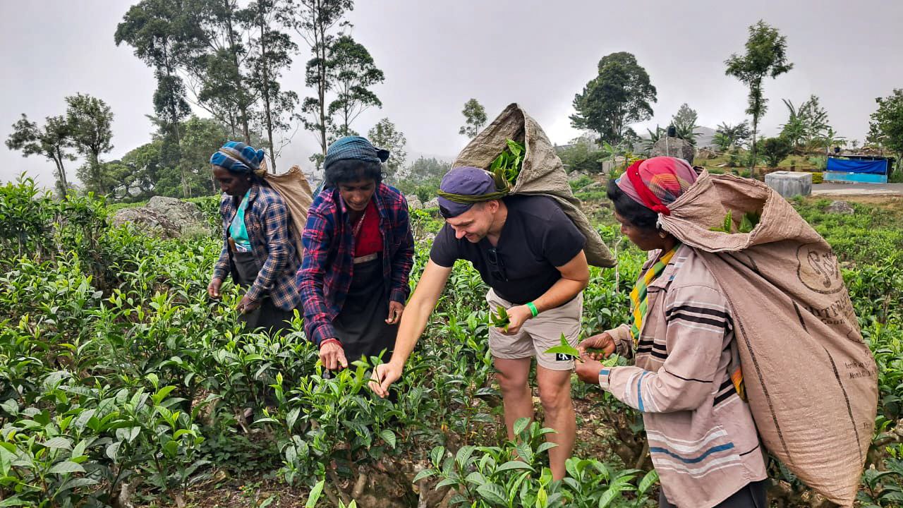 Тайны и тропики Шри-Ланки: уникальная авторская экспедиция (3/48)