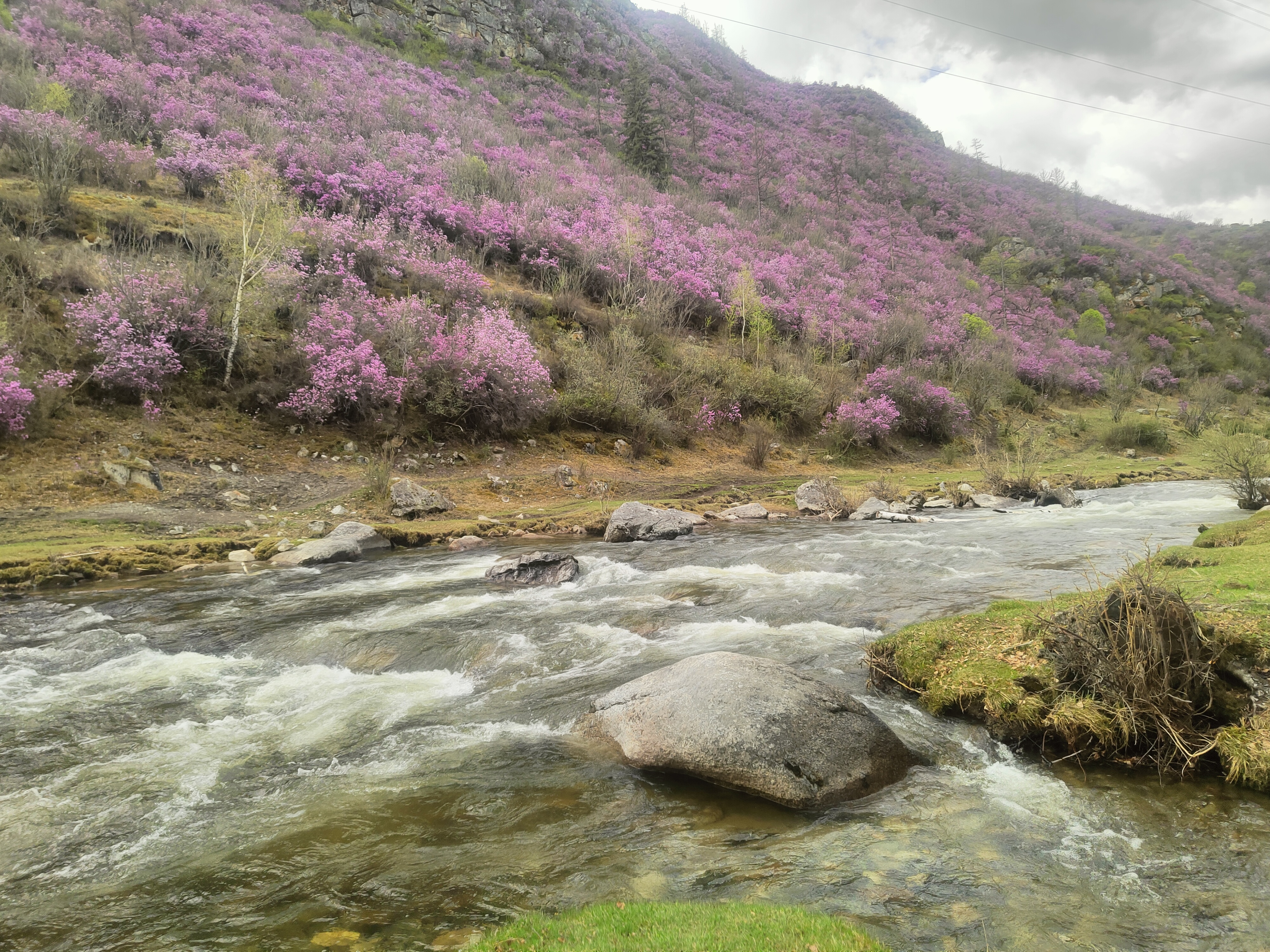 Весенние горы