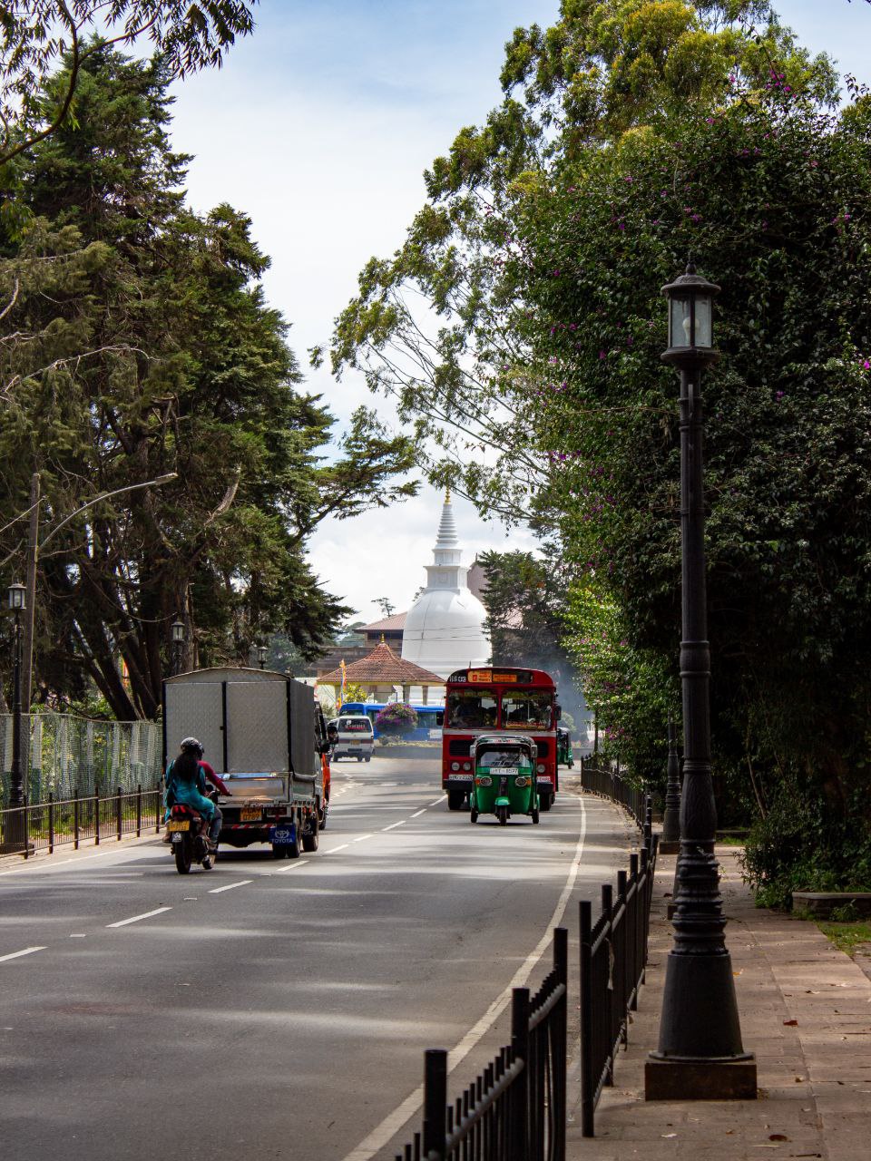 Тайны и тропики Шри-Ланки: уникальная авторская экспедиция (10/48)