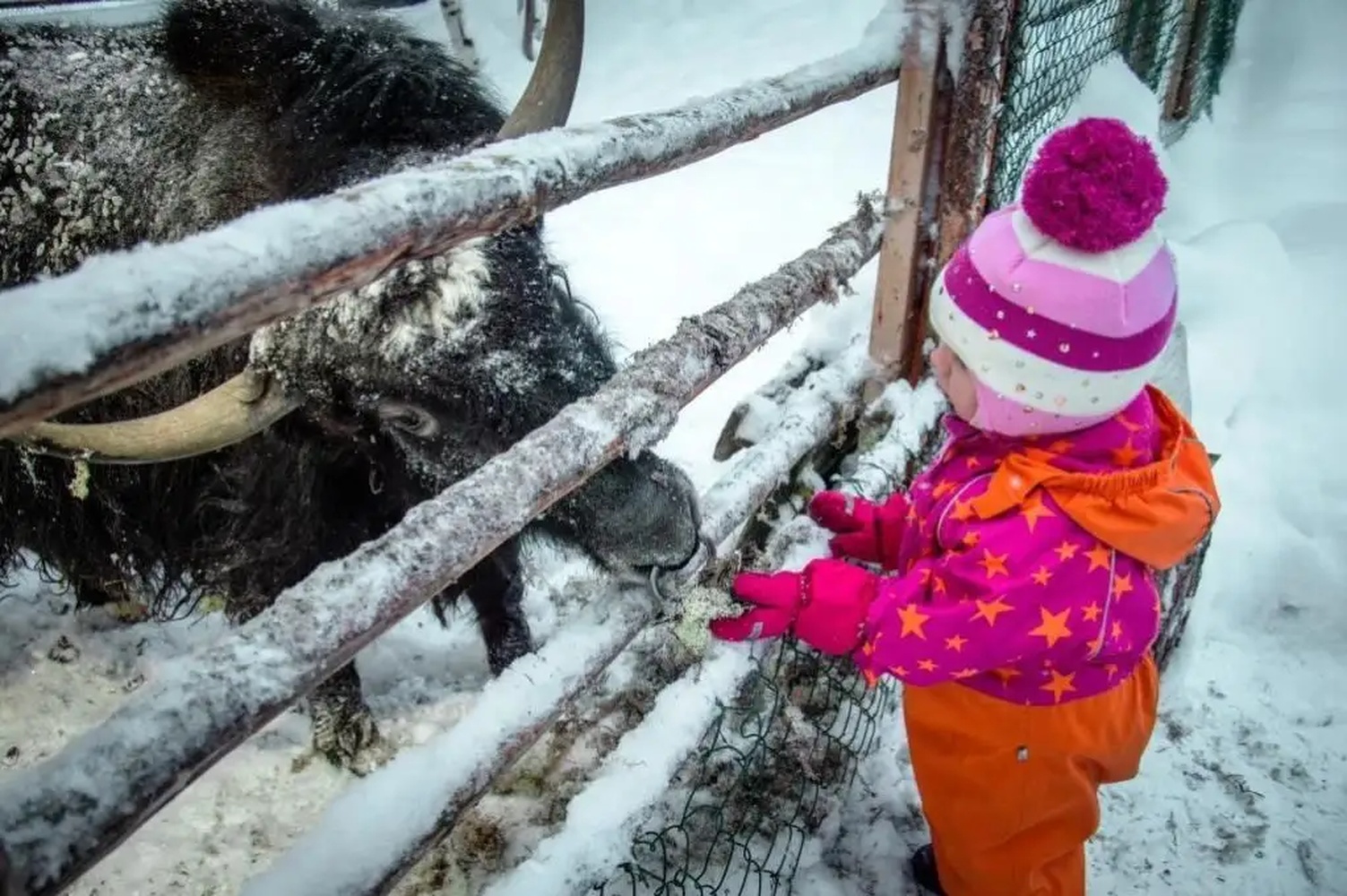 Индивидуальный Семейный тур Юный полярник (все включено) (14/28)