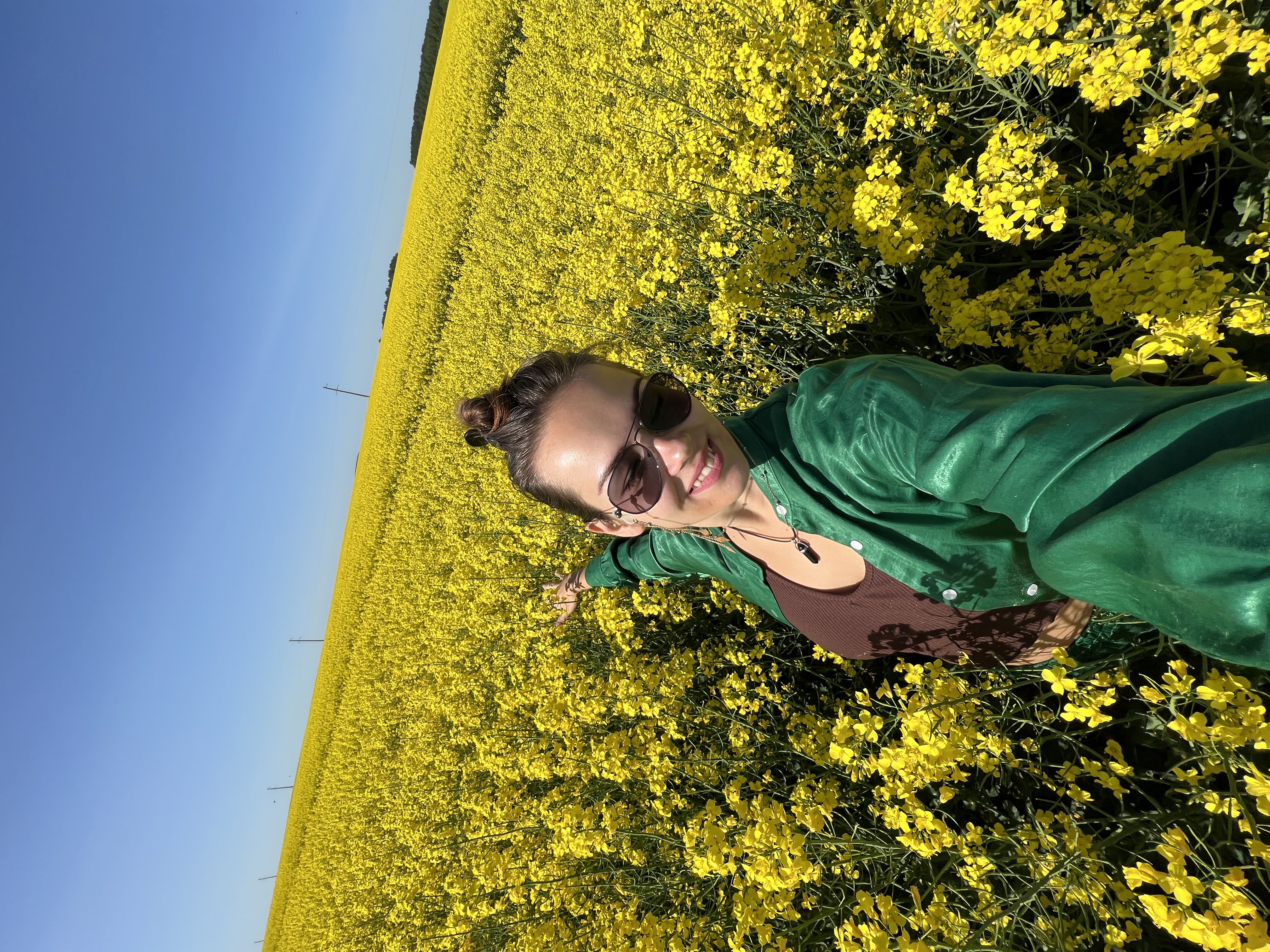 Увидеть всю Беларусь (39/79)