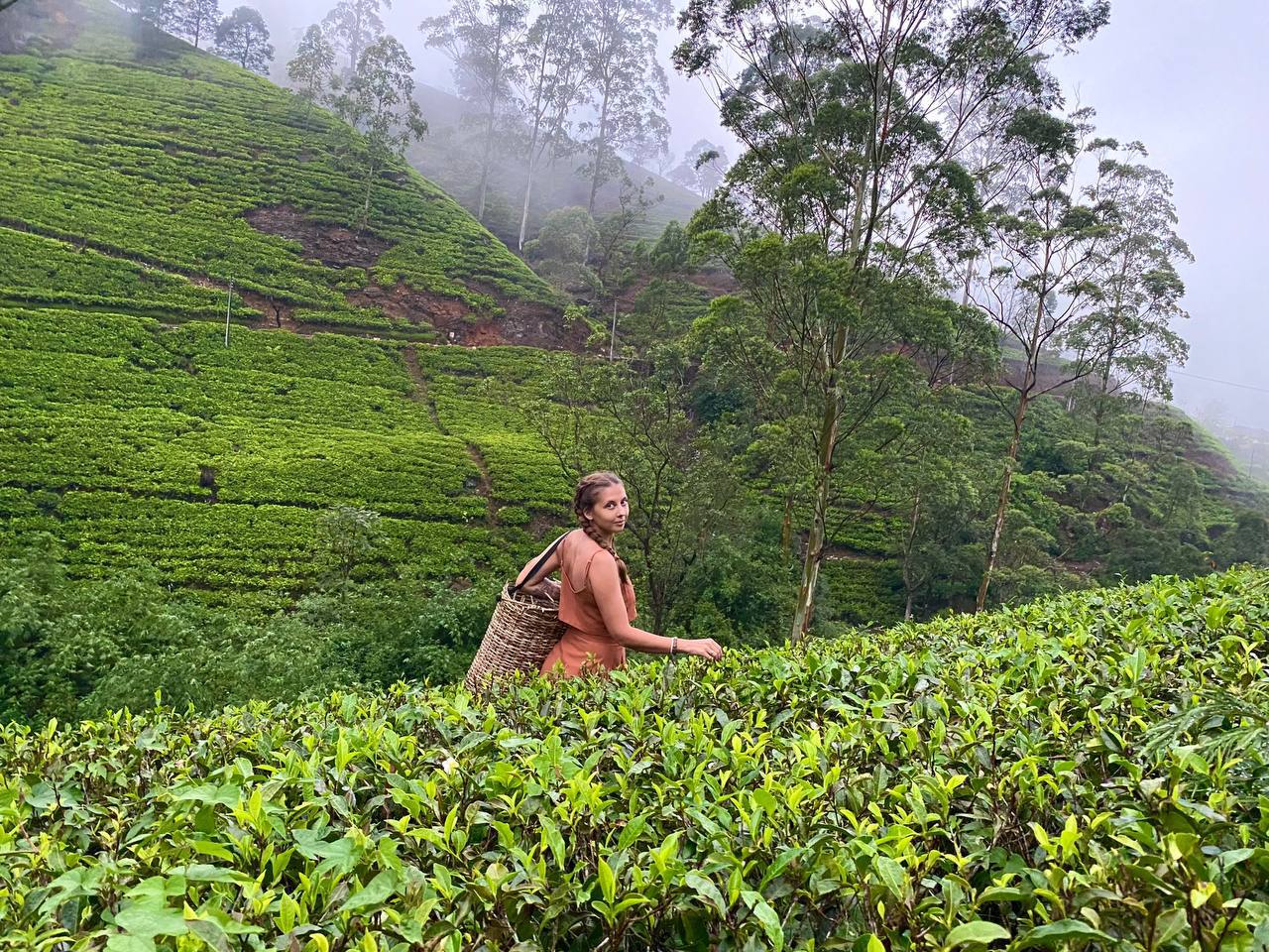 Двухдневный тур Сердце Шри-Ланки (9/21)