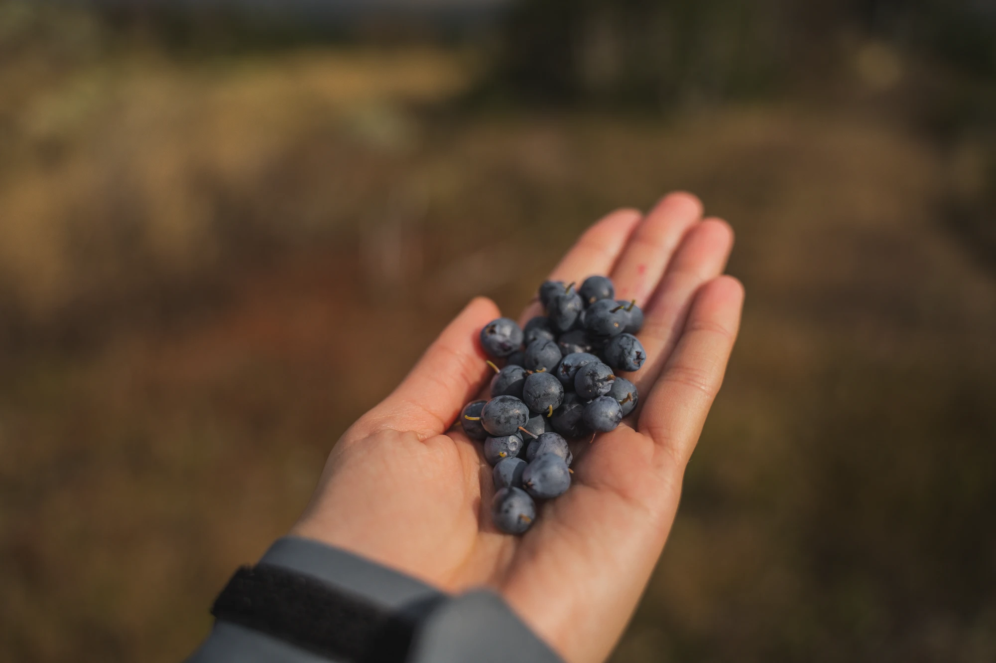 Таганай и Тургояк. Легенды Южного Урала (6/35)