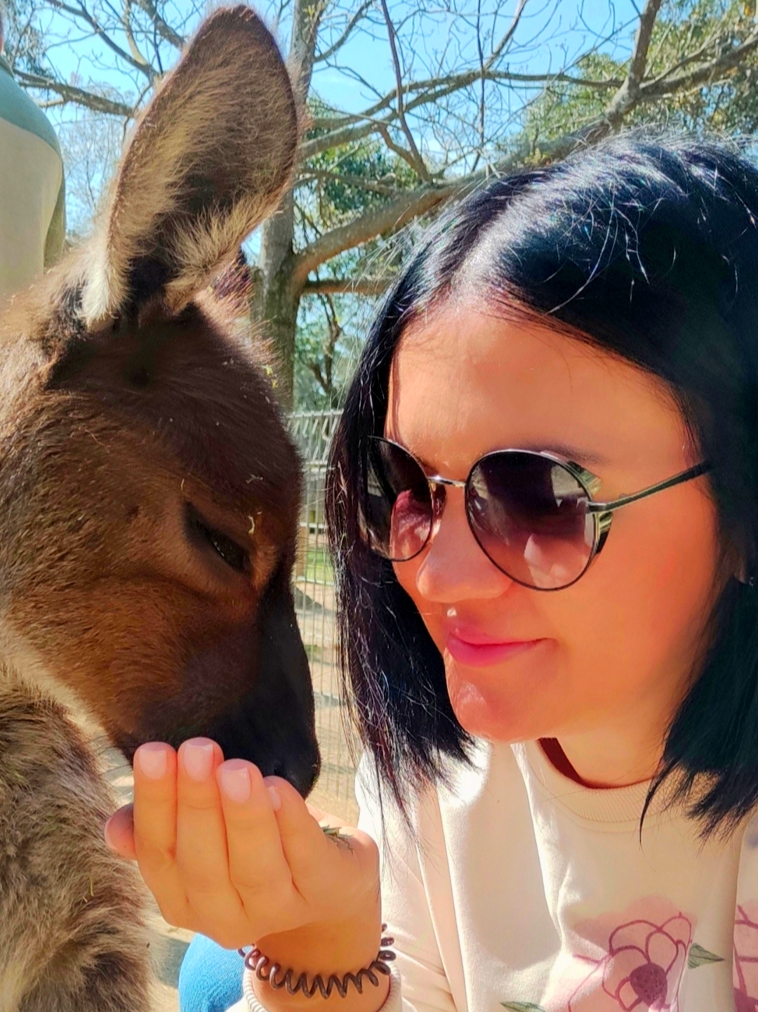 Австралия: тайны Зеленого континента+Тасмания (15/60)