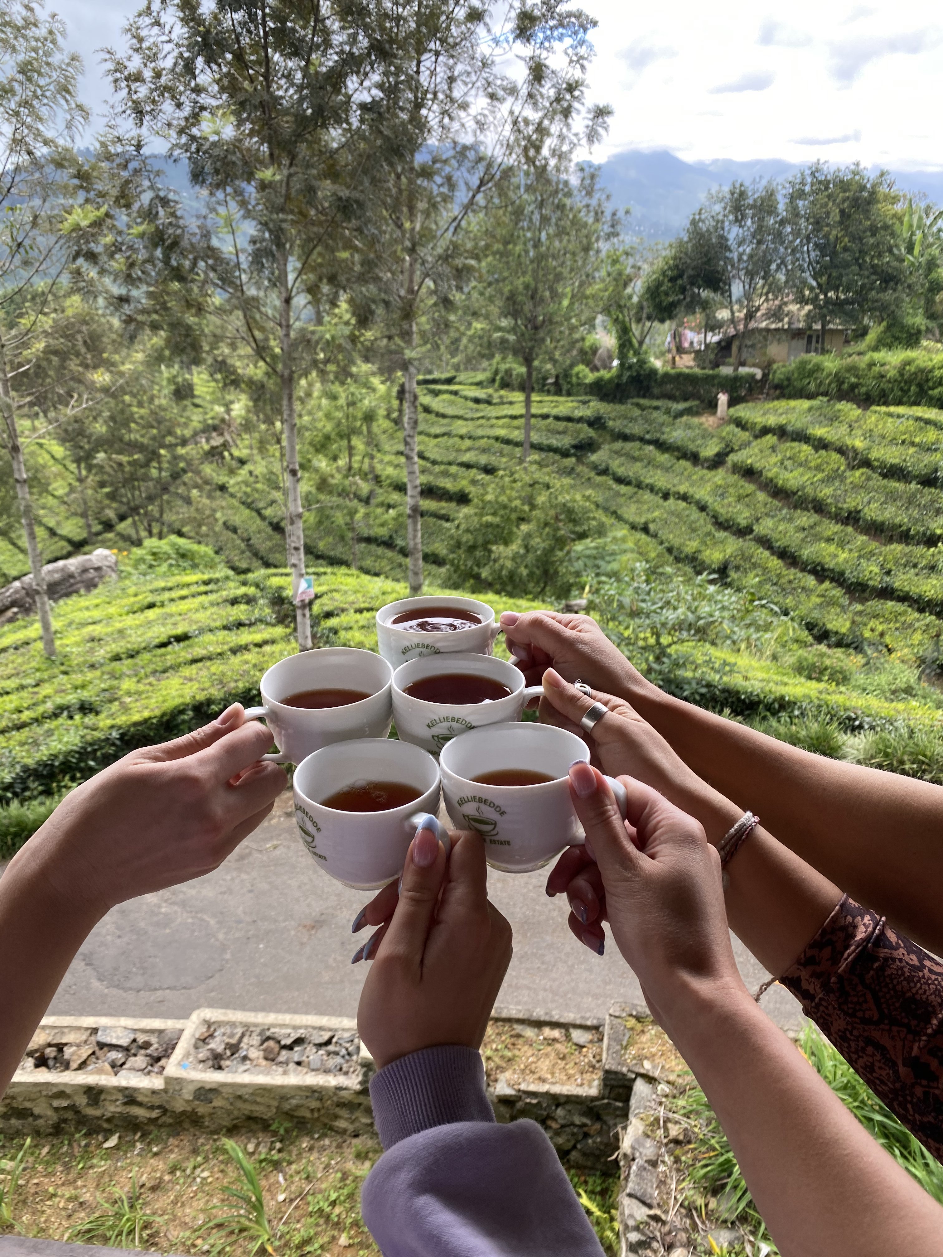 Шри-Ланка. Все грани острова за 14 дней! (8/43)