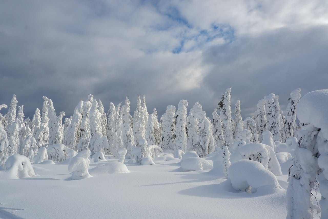 Тайны Пармы. Зимняя симфония Пермского края