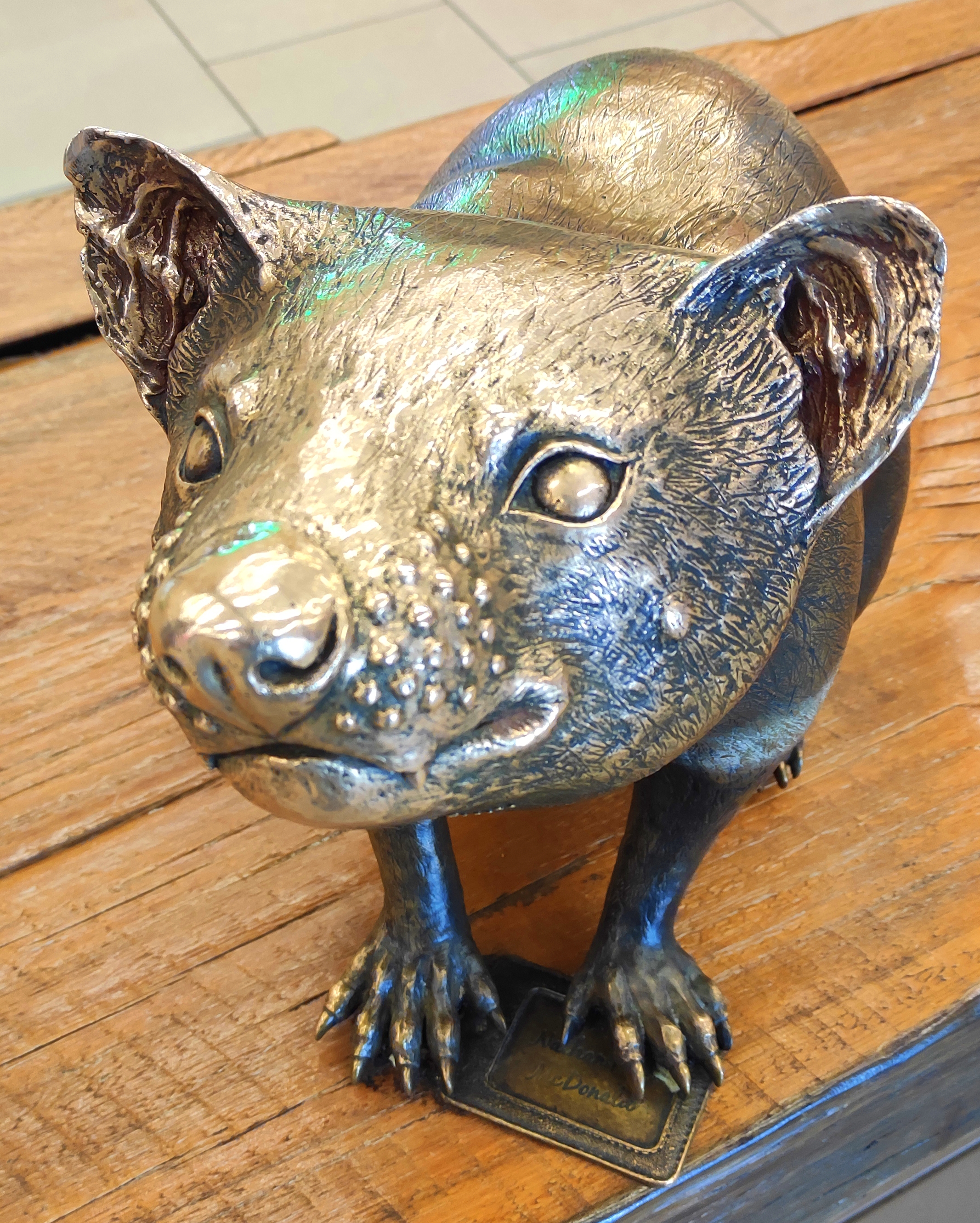 Австралия: тайны Зеленого континента+Тасмания (9/60)