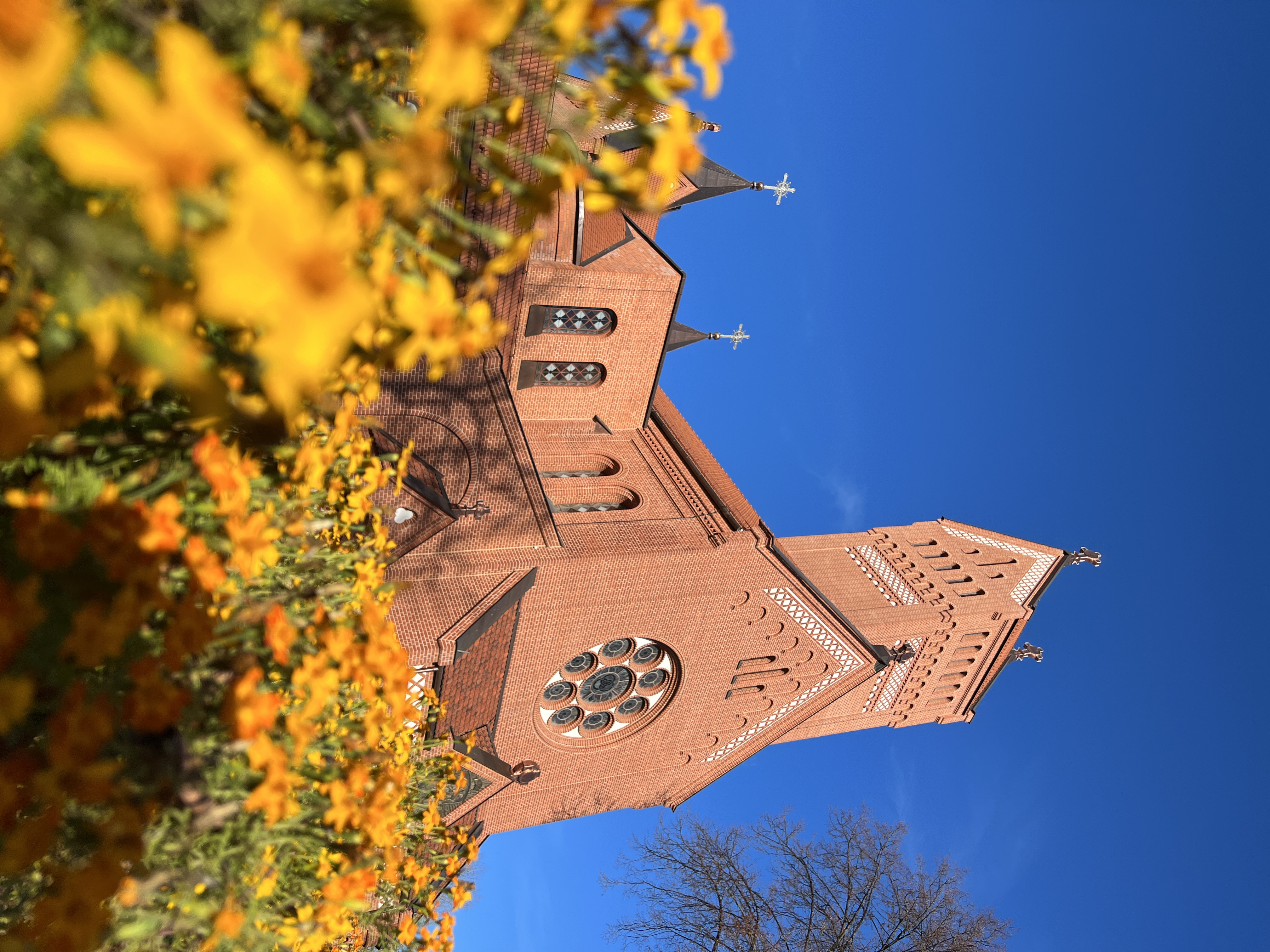 Увидеть всю Беларусь (36/79)