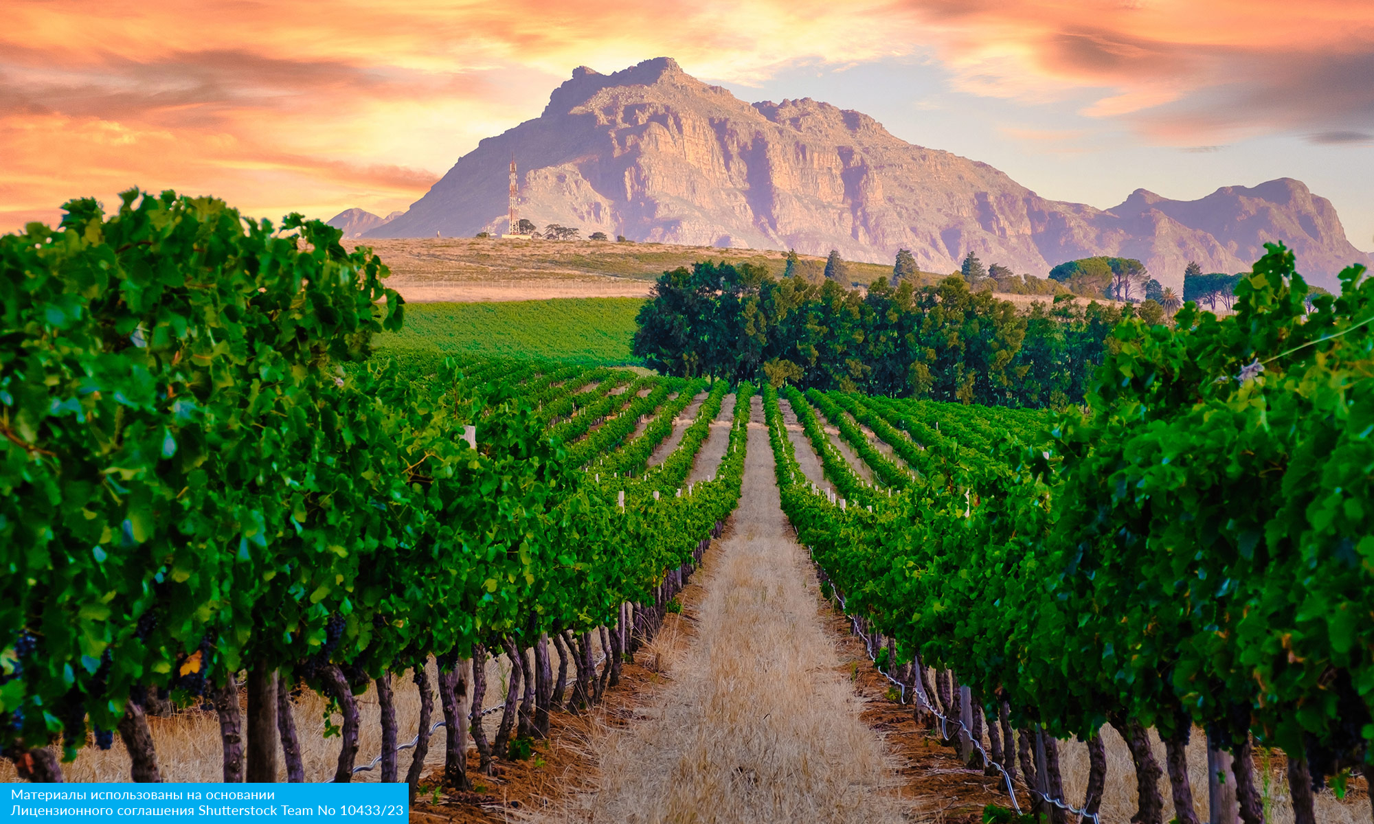 Юар: Кейптаун, 2 океана, винные долины и Африканское сафари