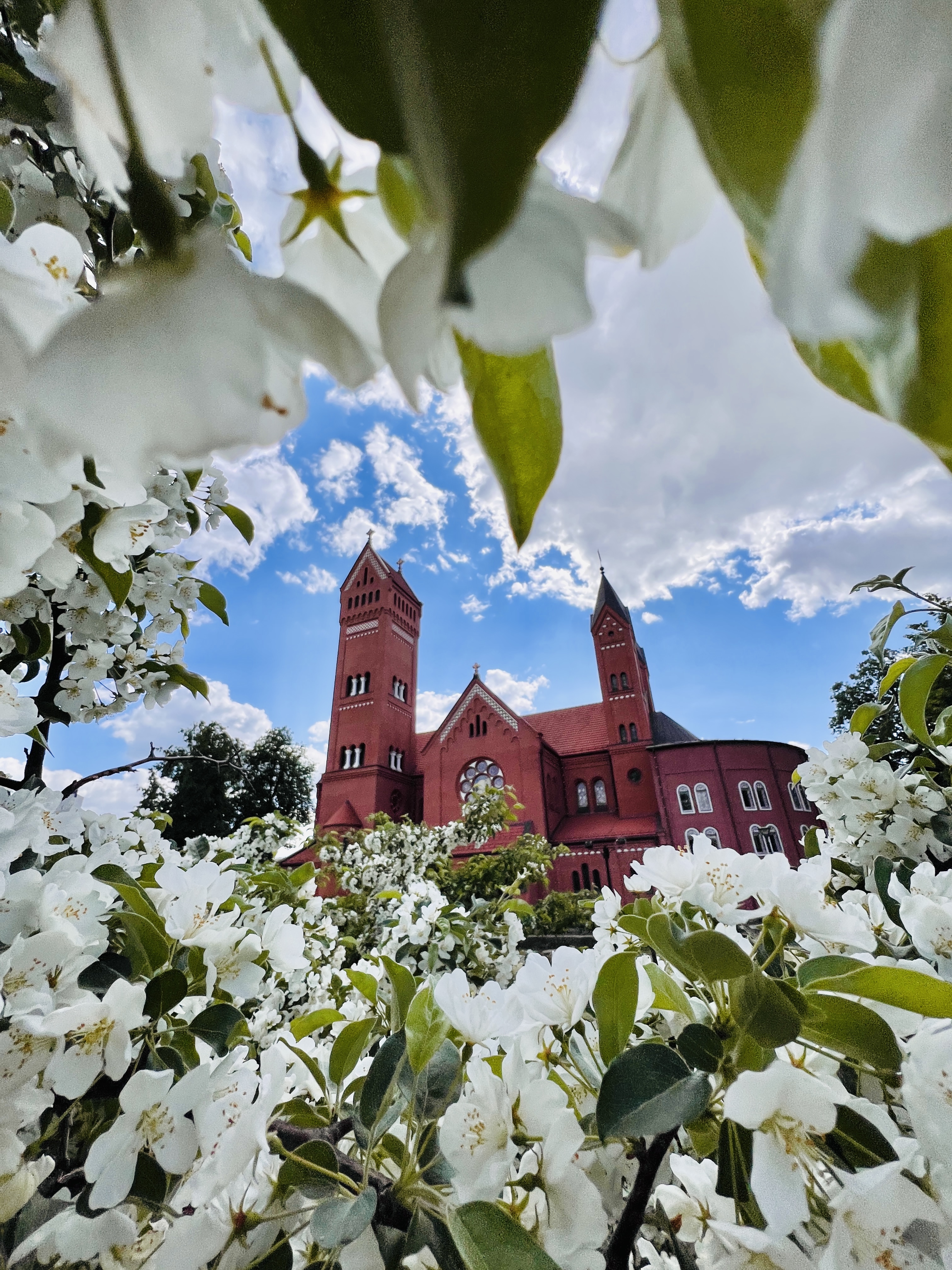 Увидеть всю Беларусь