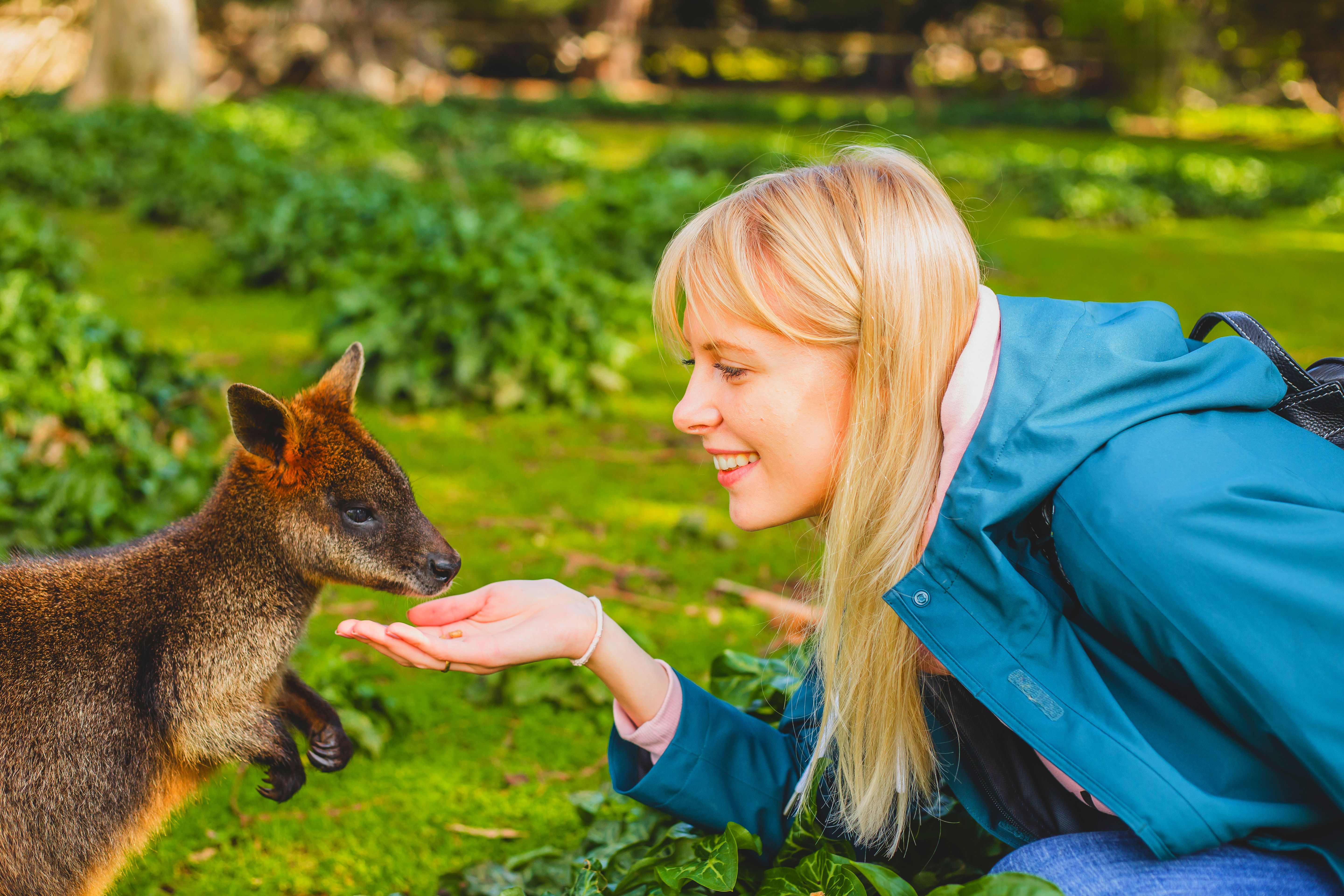 Австралия: тайны Зеленого континента+Тасмания (13/60)