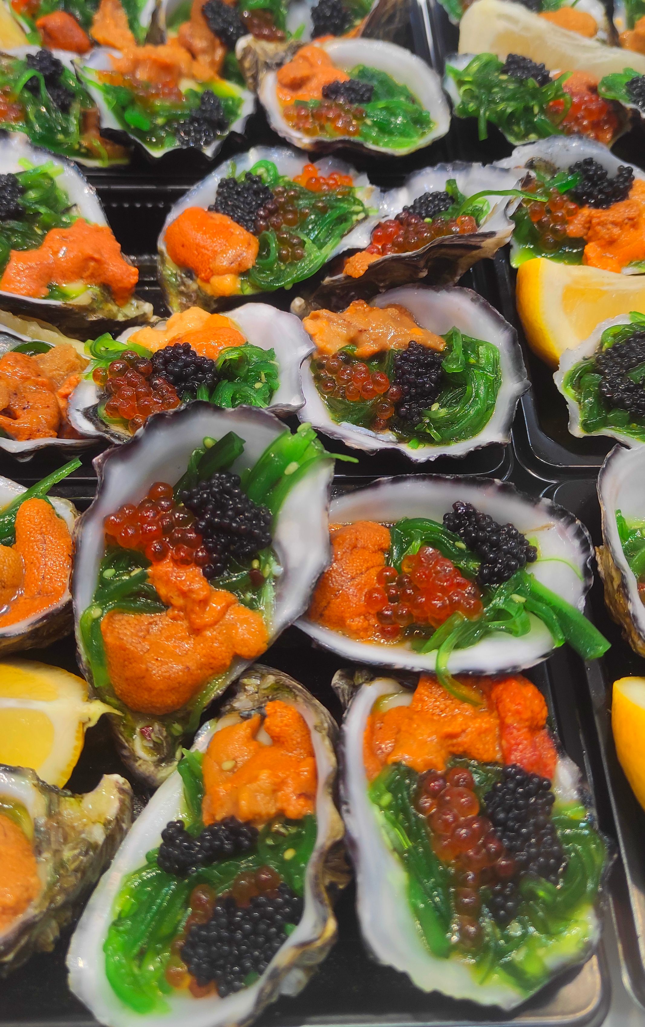 Австралия: тайны Зеленого континента+Тасмания (10/60)