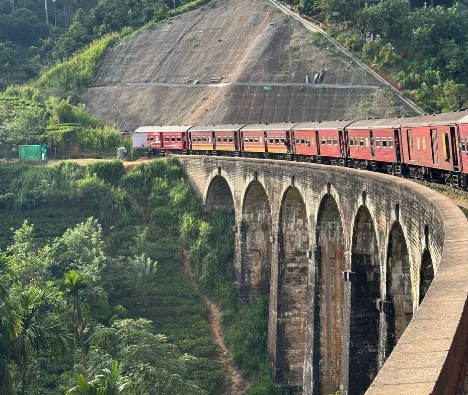 Однодневная экскурсия Элла и парк слонов Удавалаве (4/14)