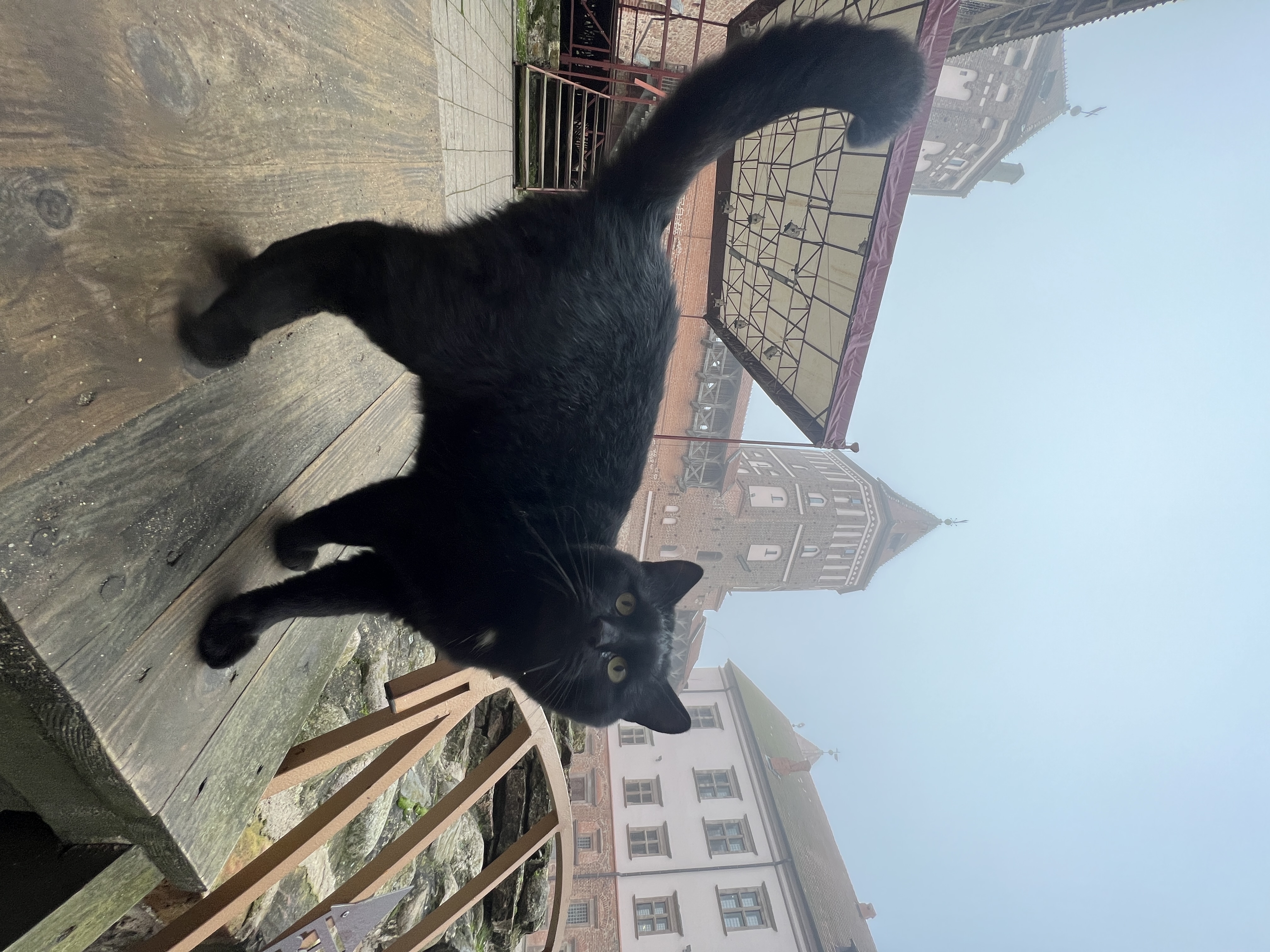 Увидеть всю Беларусь (29/79)