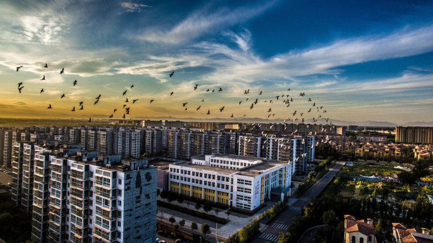 Увидеть всю Беларусь (13/79)